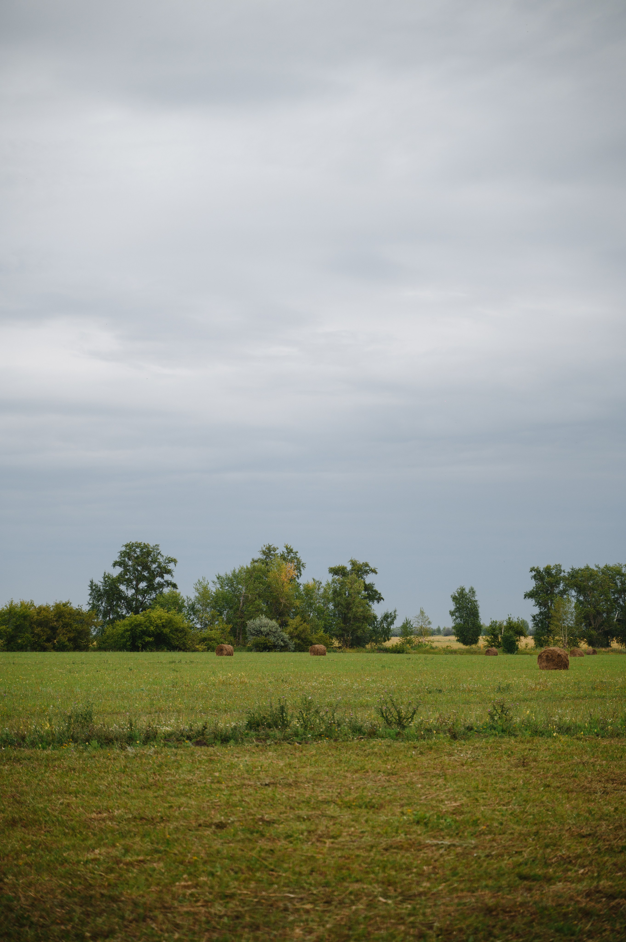 Держась за руки…. Свадебный фотограф Тольятти Самара Холмов Артем