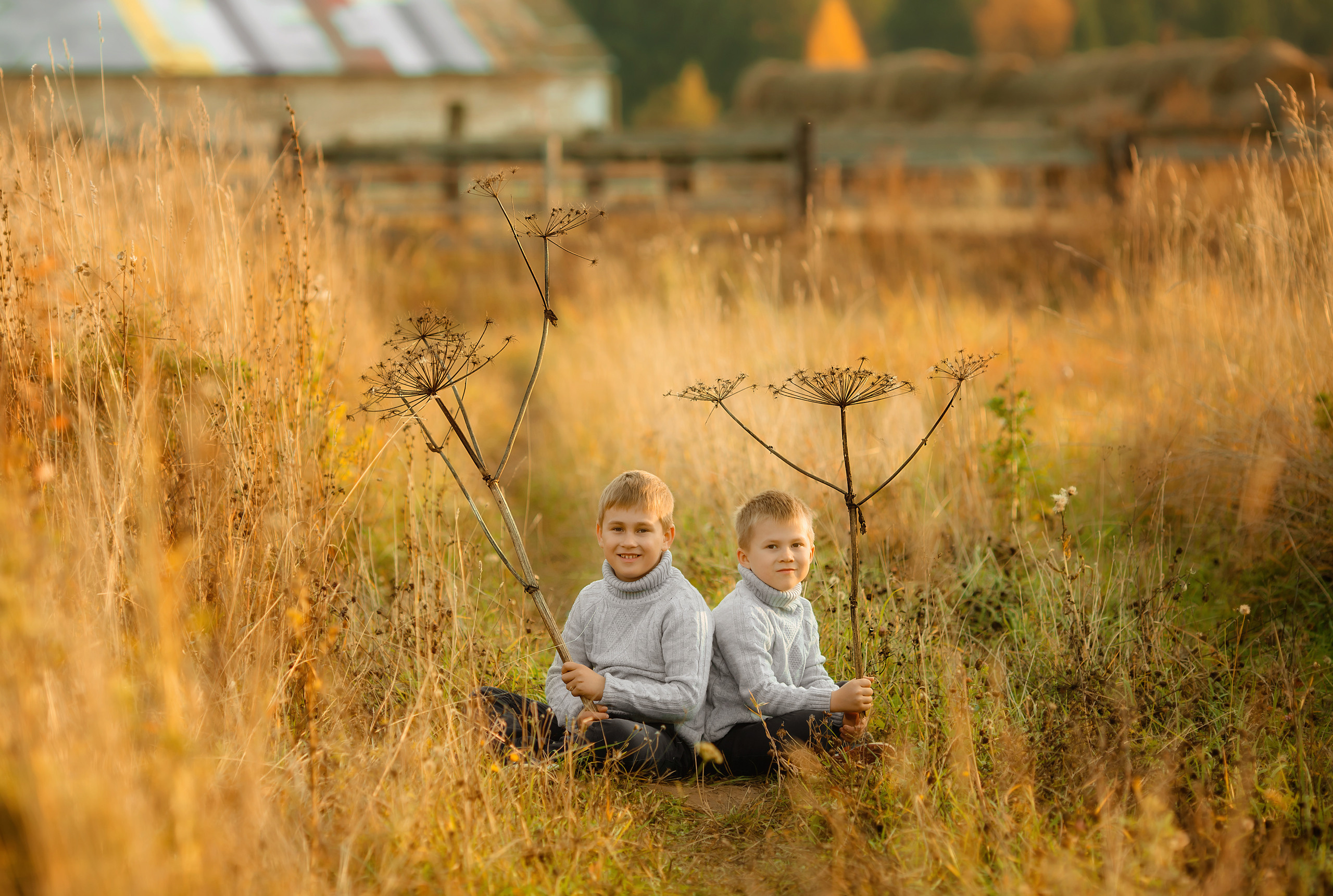 Семейные. Главная