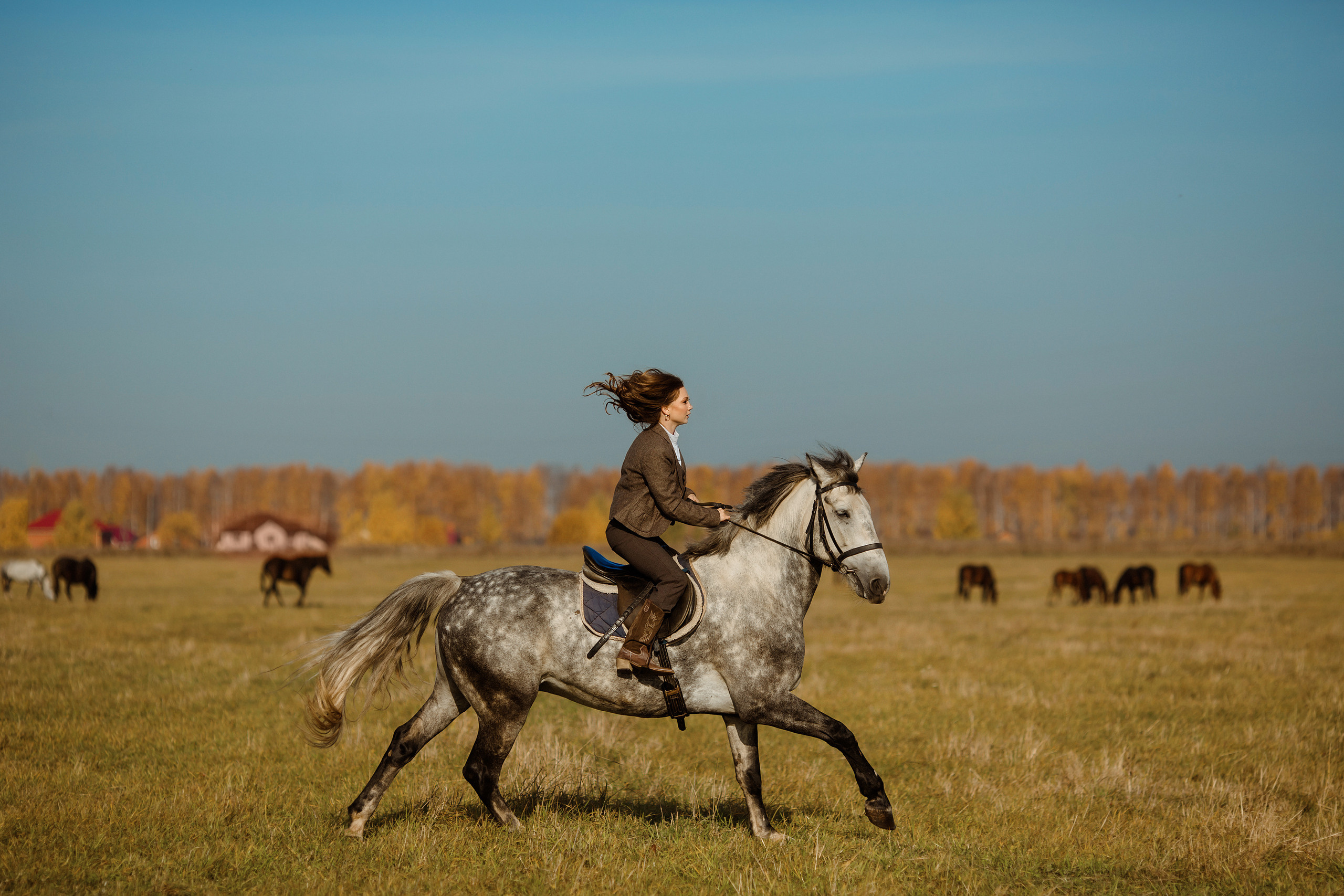 Портреты. Главная