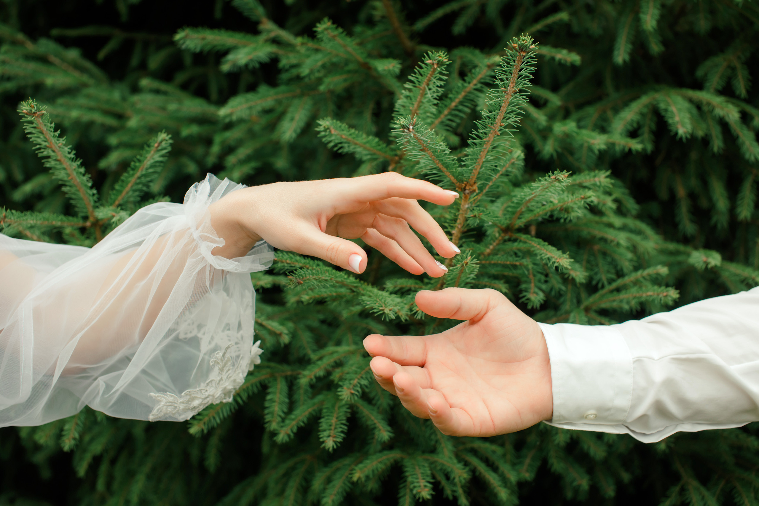 Свадьбы. Главная