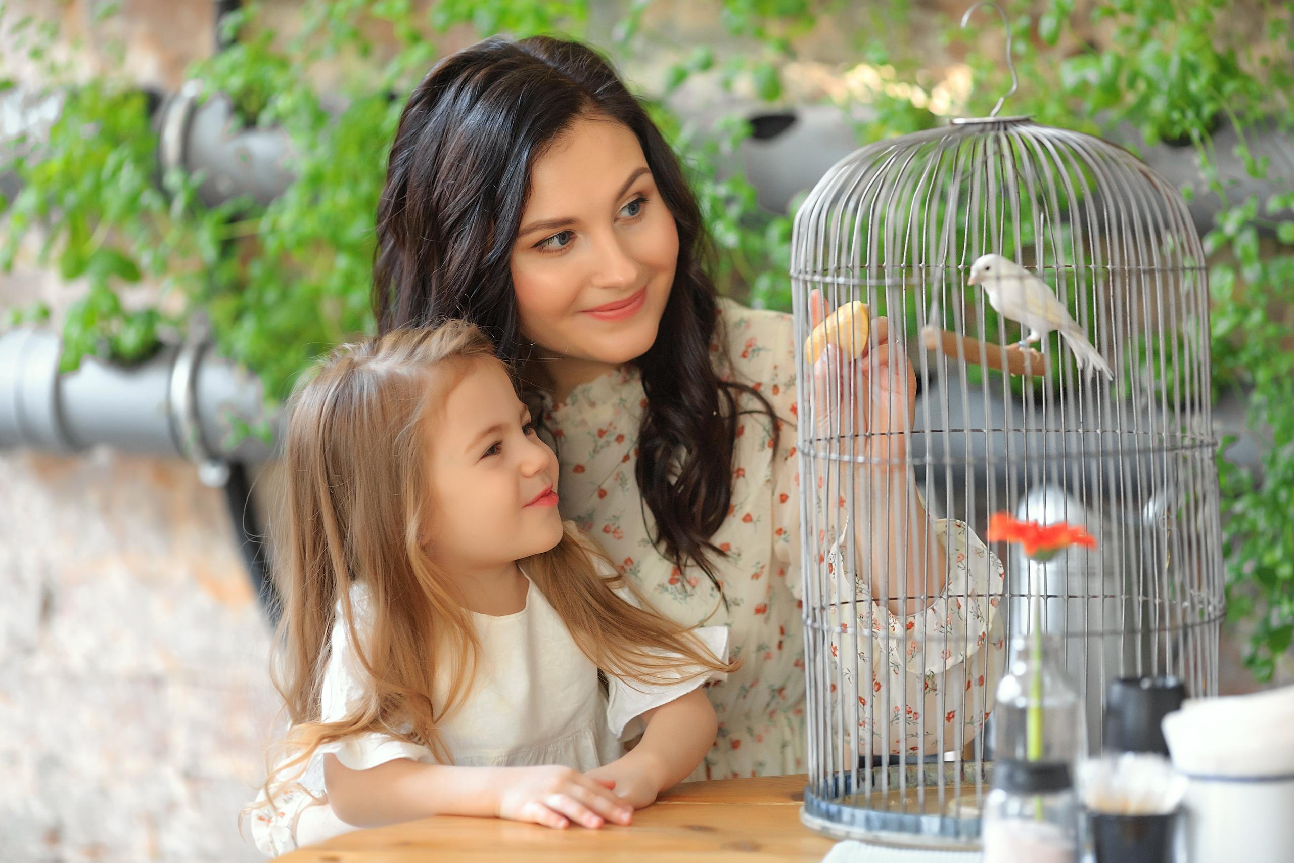 Семейные. Главная