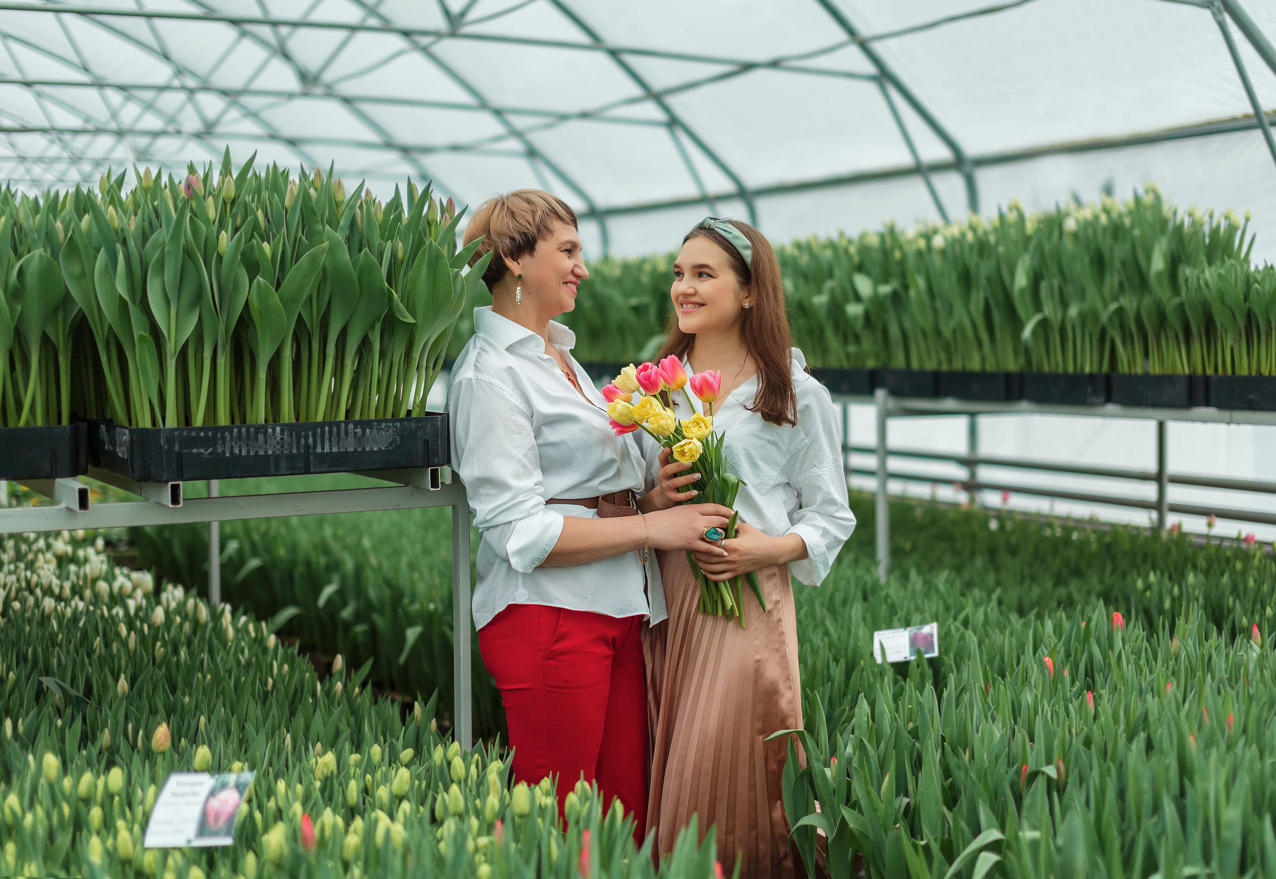 Семейные. Главная