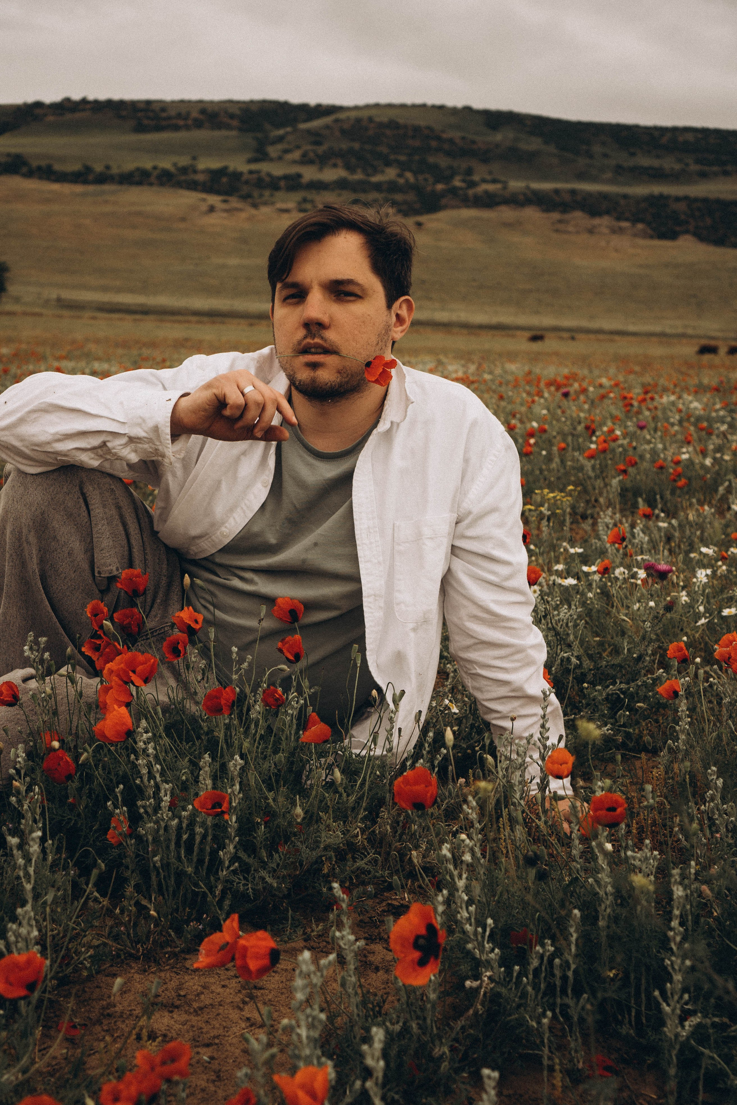 Маки. Профессиональный фотограф, Санкт-Петербург — Виктория Богомолова