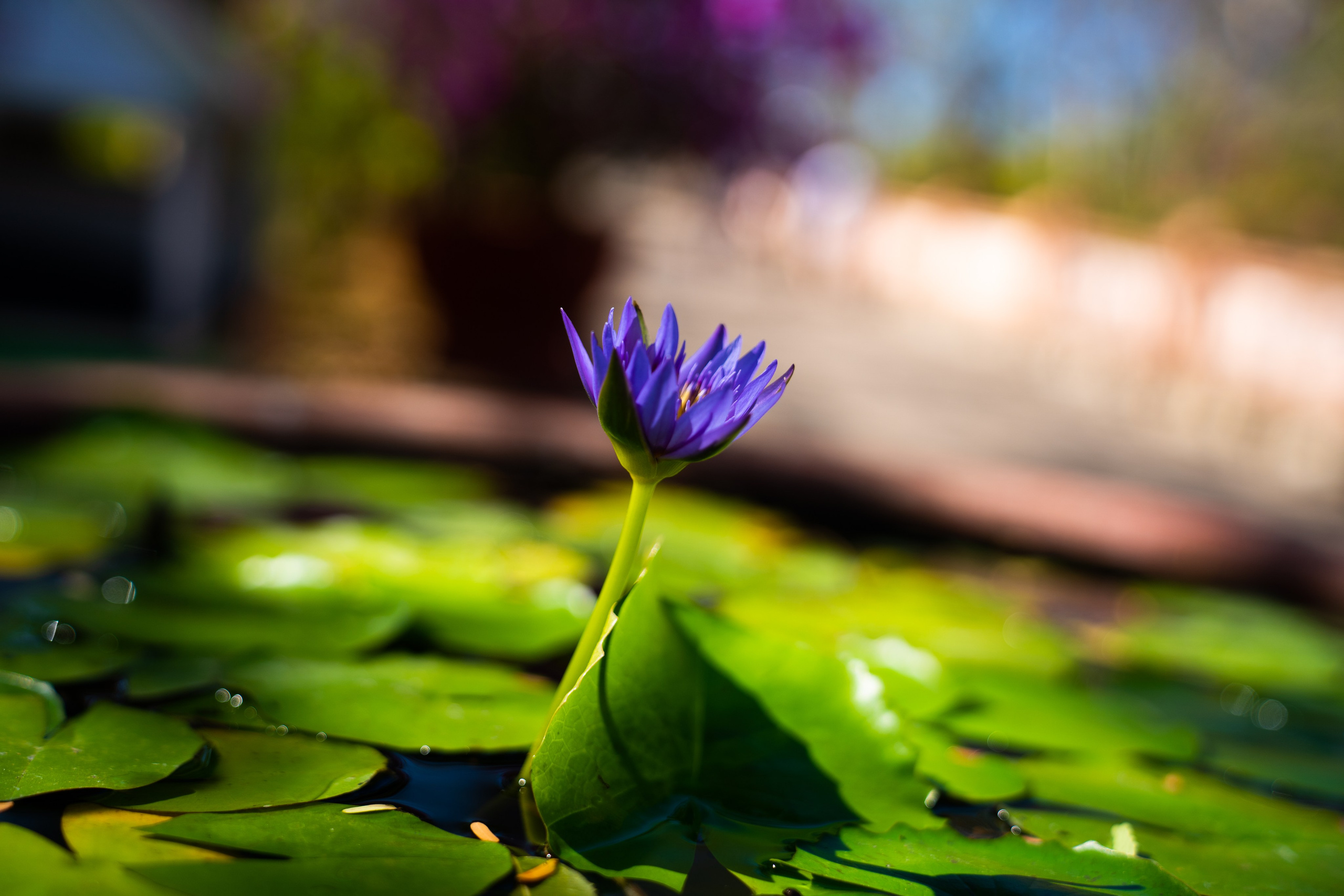 Семейная фотосессия на пляже Муйне | Фотограф для семьи. Фотограф в Муйне и Фанхьете — Фотосессии для туристов, пар и семей
