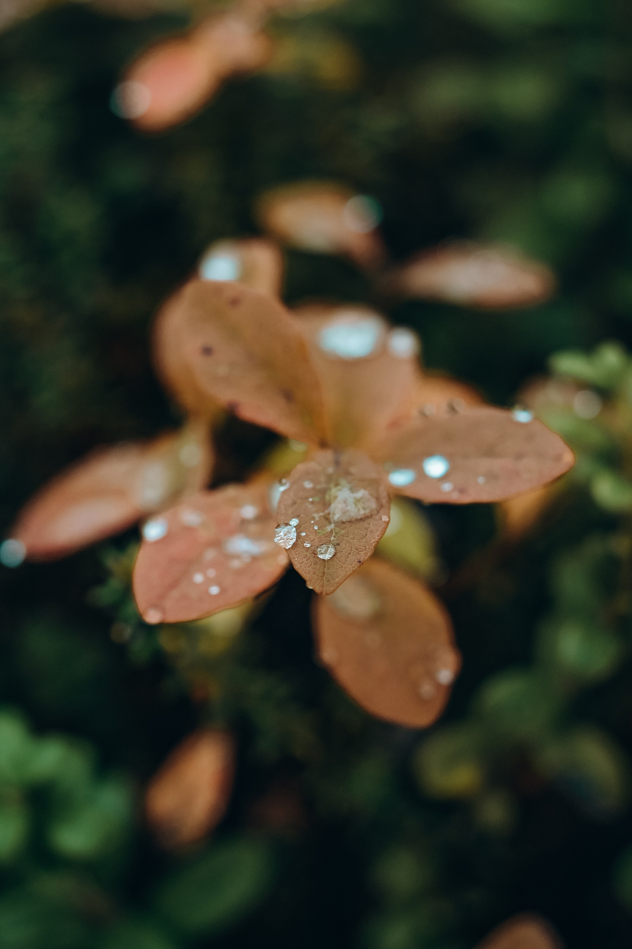 СЕВЕР. Event фотограф Степанова Александра