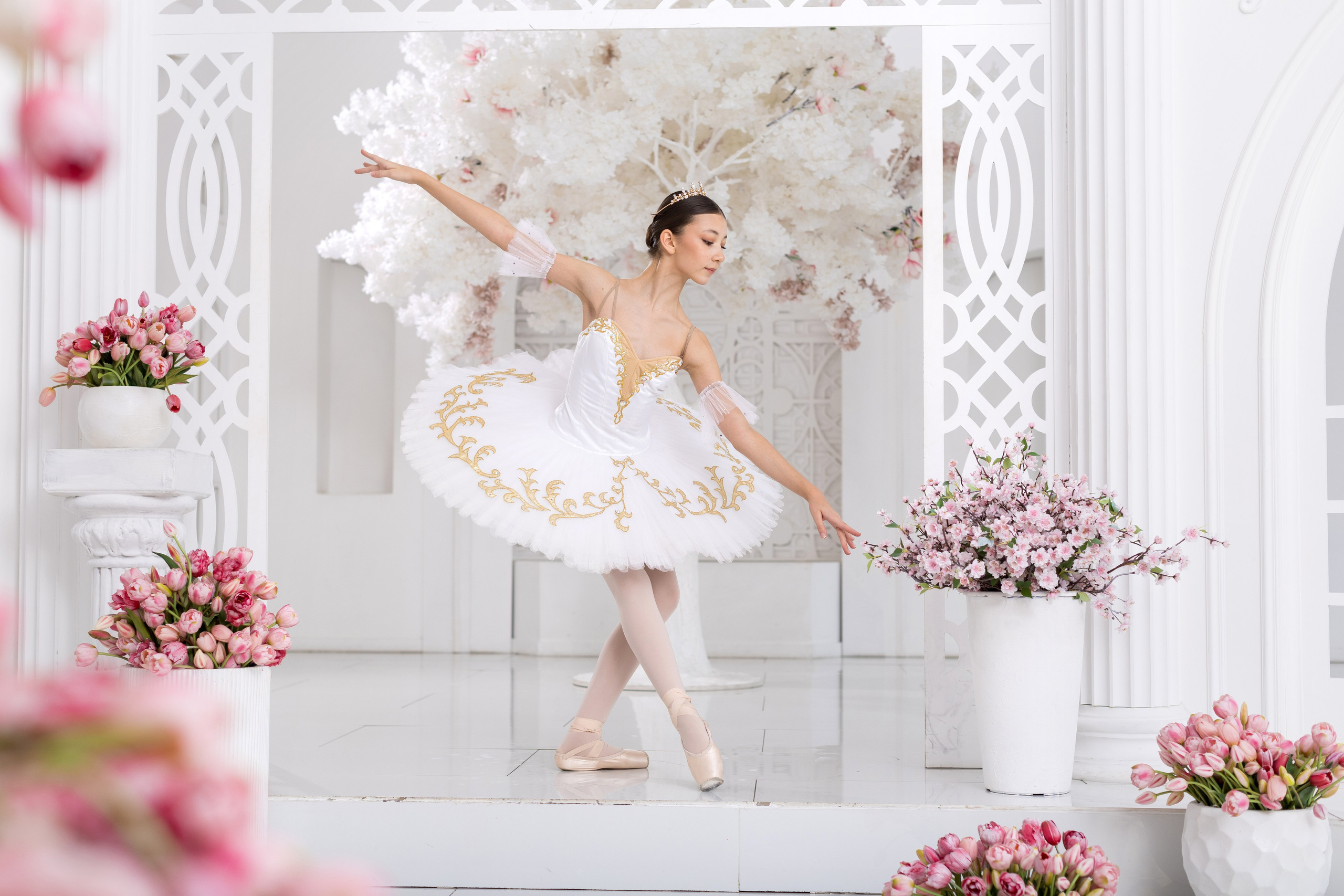 Балетная съёмка в интерьере. Балетный фотограф Алина Ханько — Душа Балета