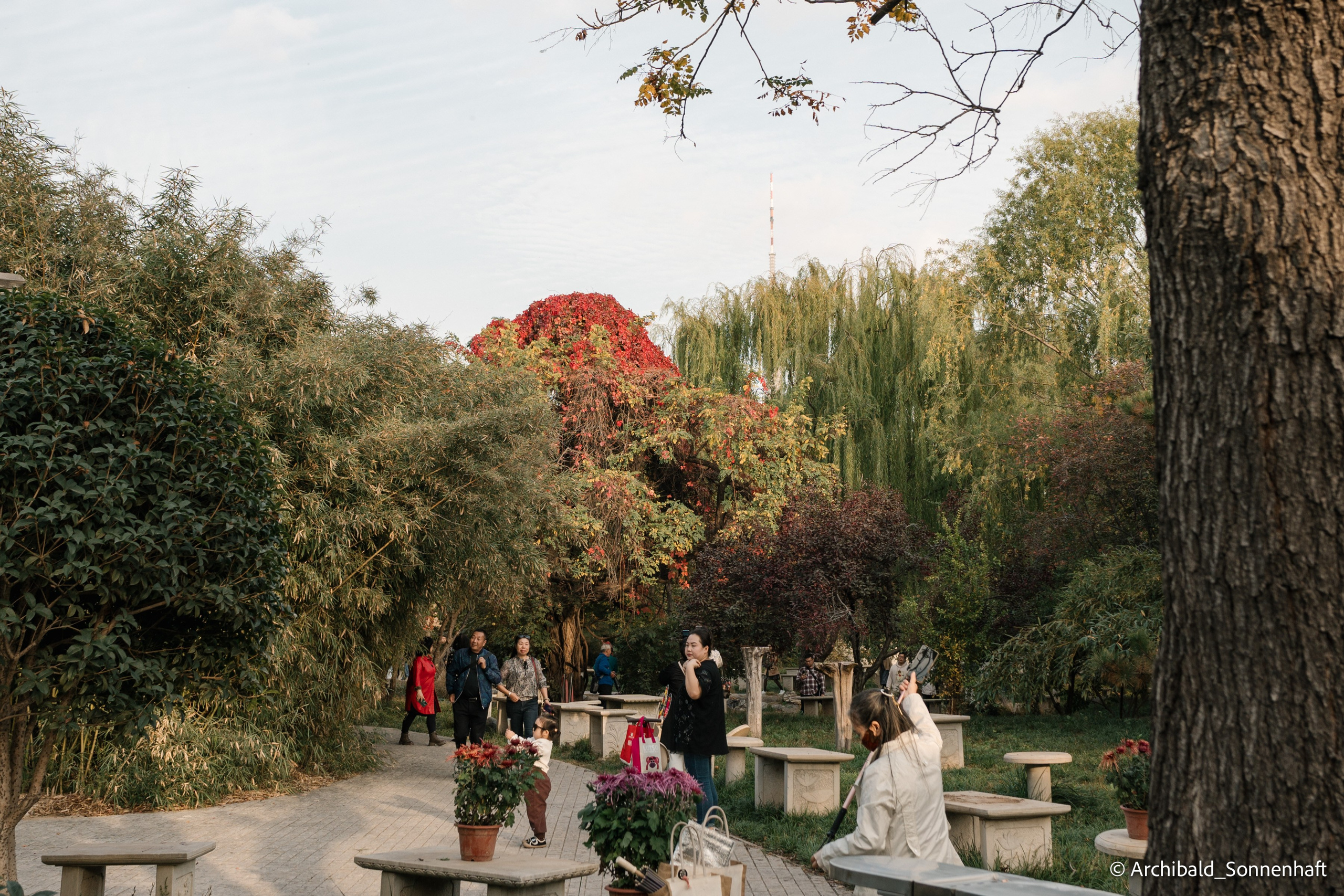 Walk around ShuiShan park. Photographer in Guangzhou, China. Archibald Sonnenhaft