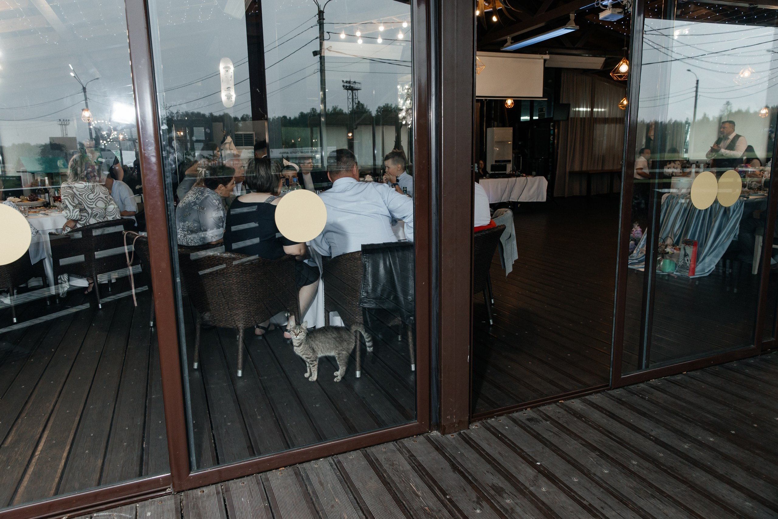 Дарья и Никита. Свадебный и семейный фотограф Егорова Юлия