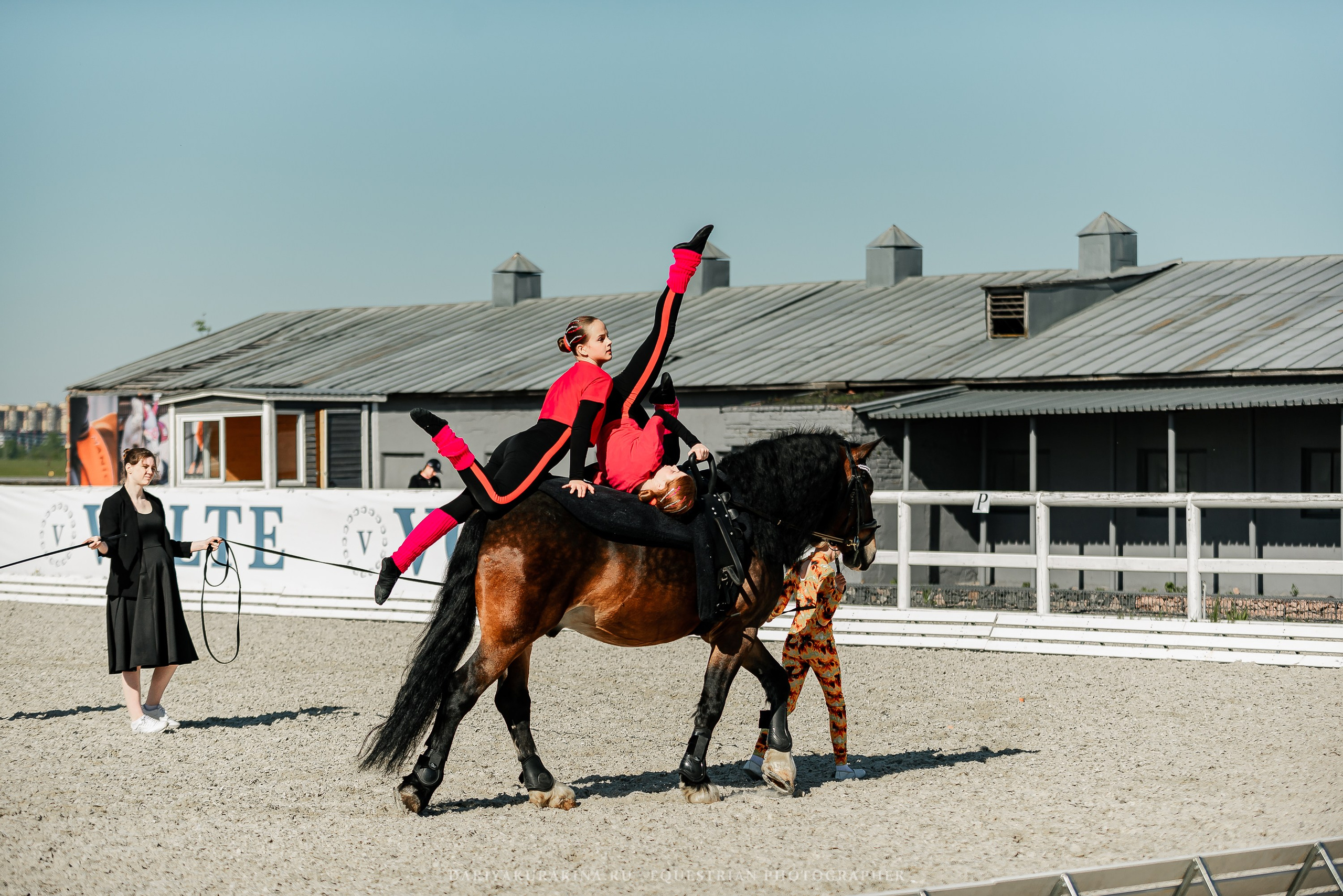 РЕПОРТАЖ МКК ВОЛЬТ «LA TULIPS». Конный фотограф Куракина Дарья • Фотосессии с лошадьми