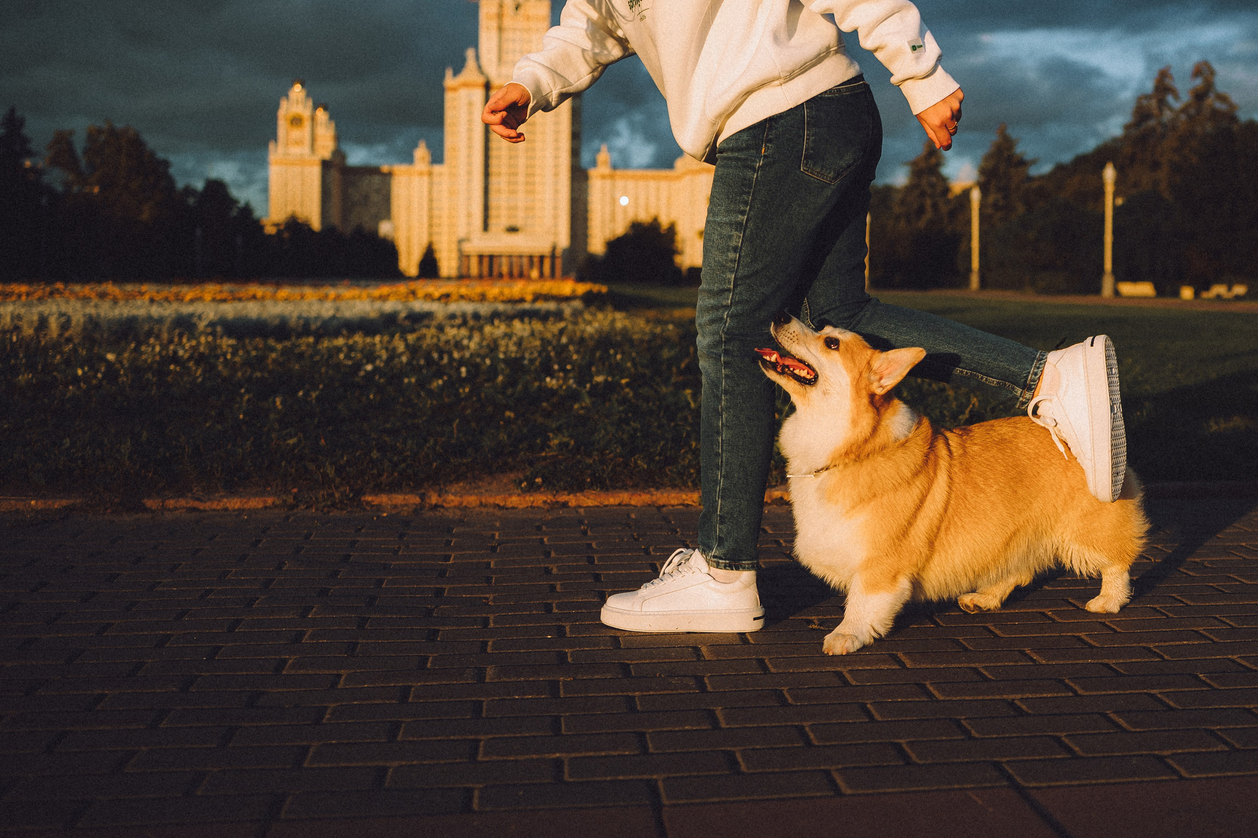 Пуговка и ее семья