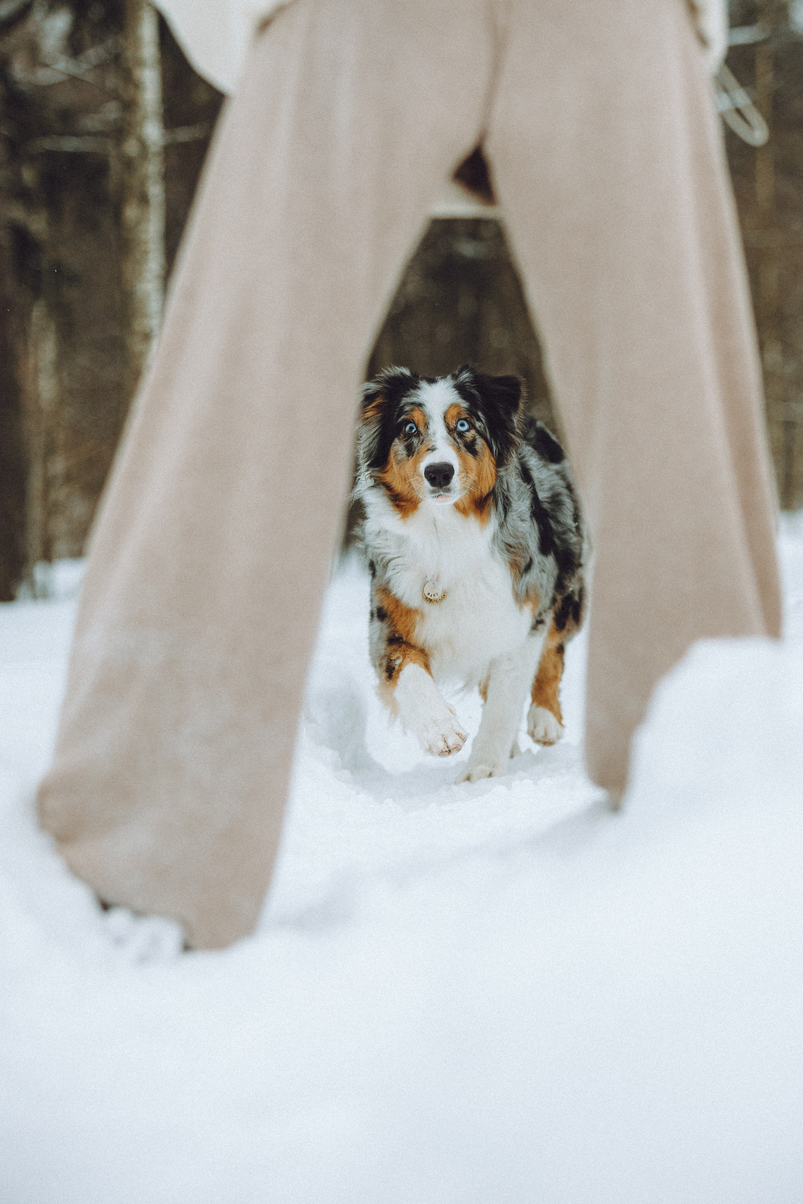 Фаня и ее семья