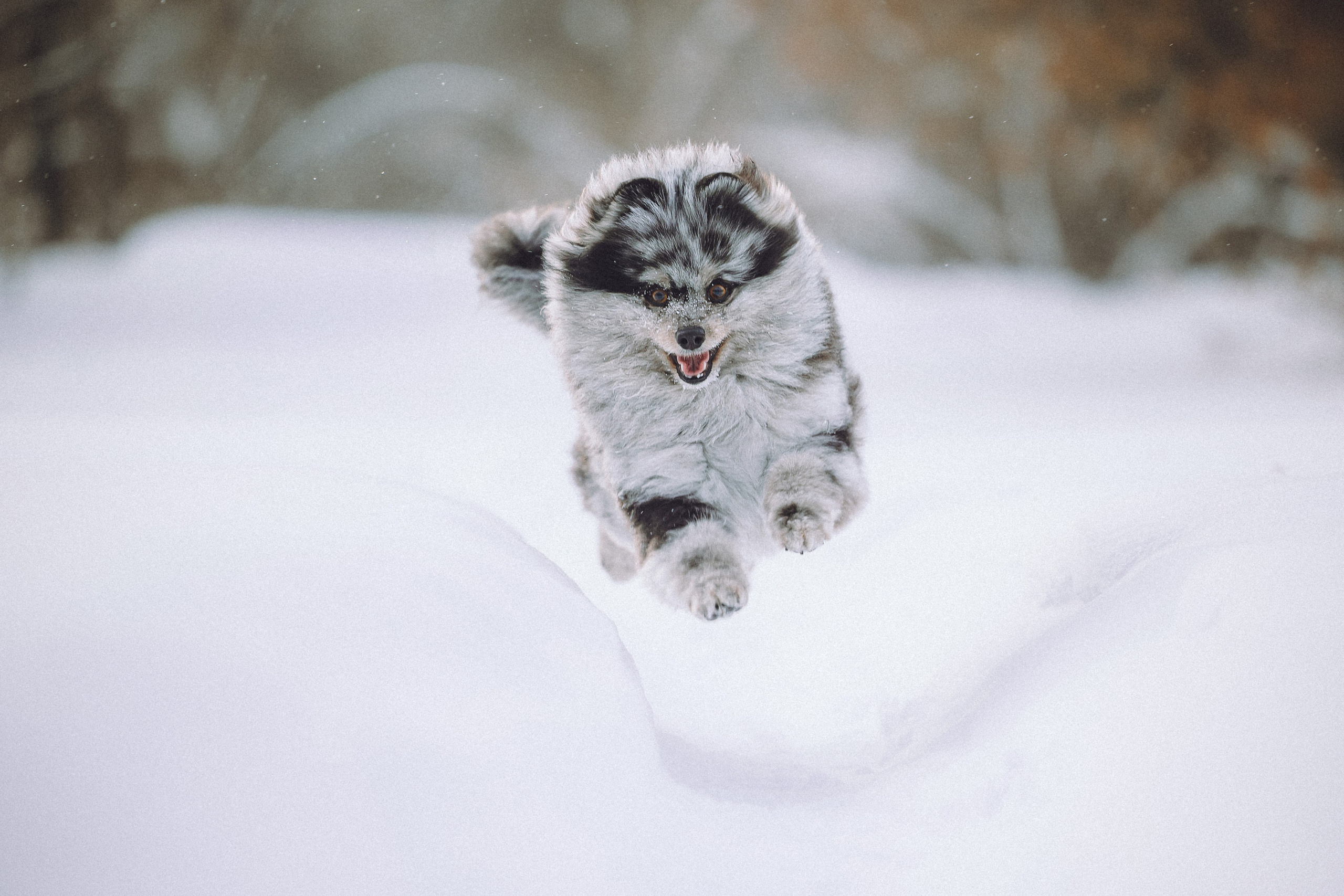 Любава и Марс