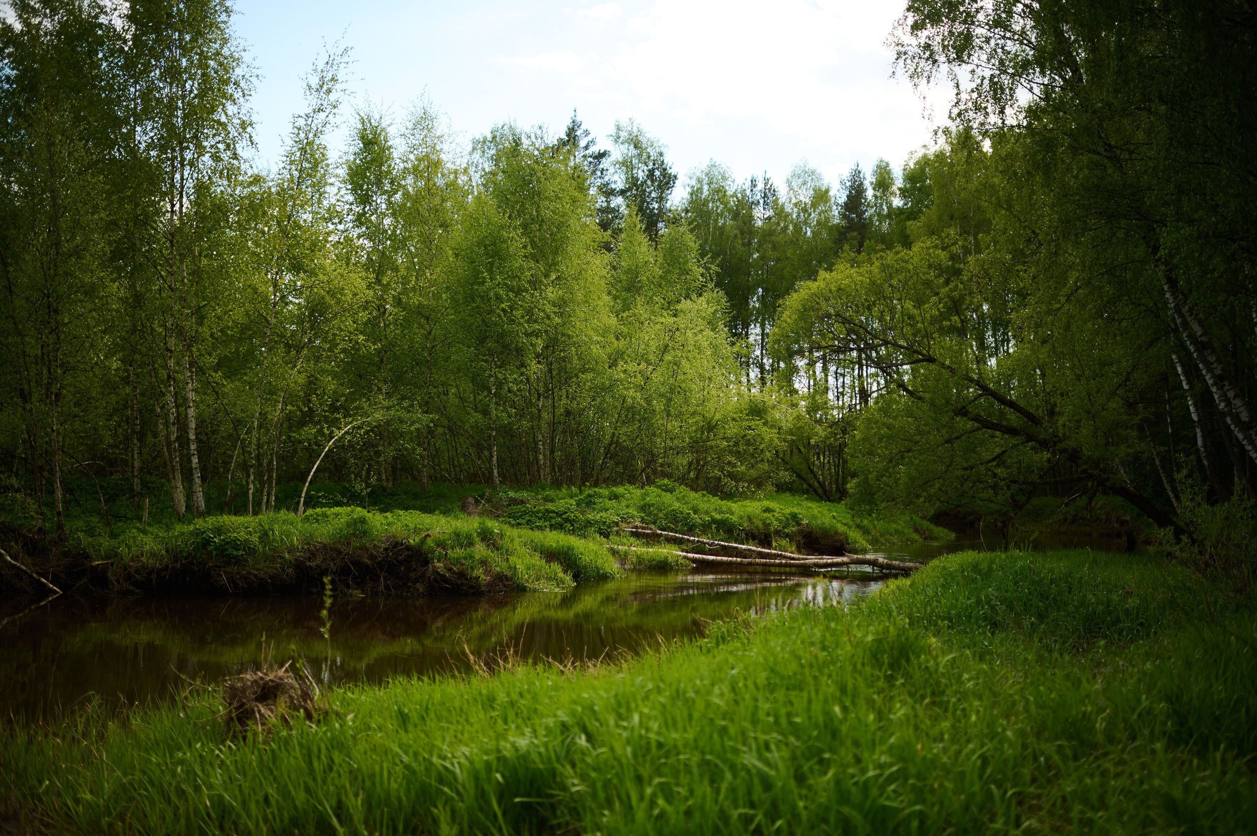 1 мая 2026. Сплав по реке Гуслица. Фотосъемки на сапах, Москва. Сплавы на сапах