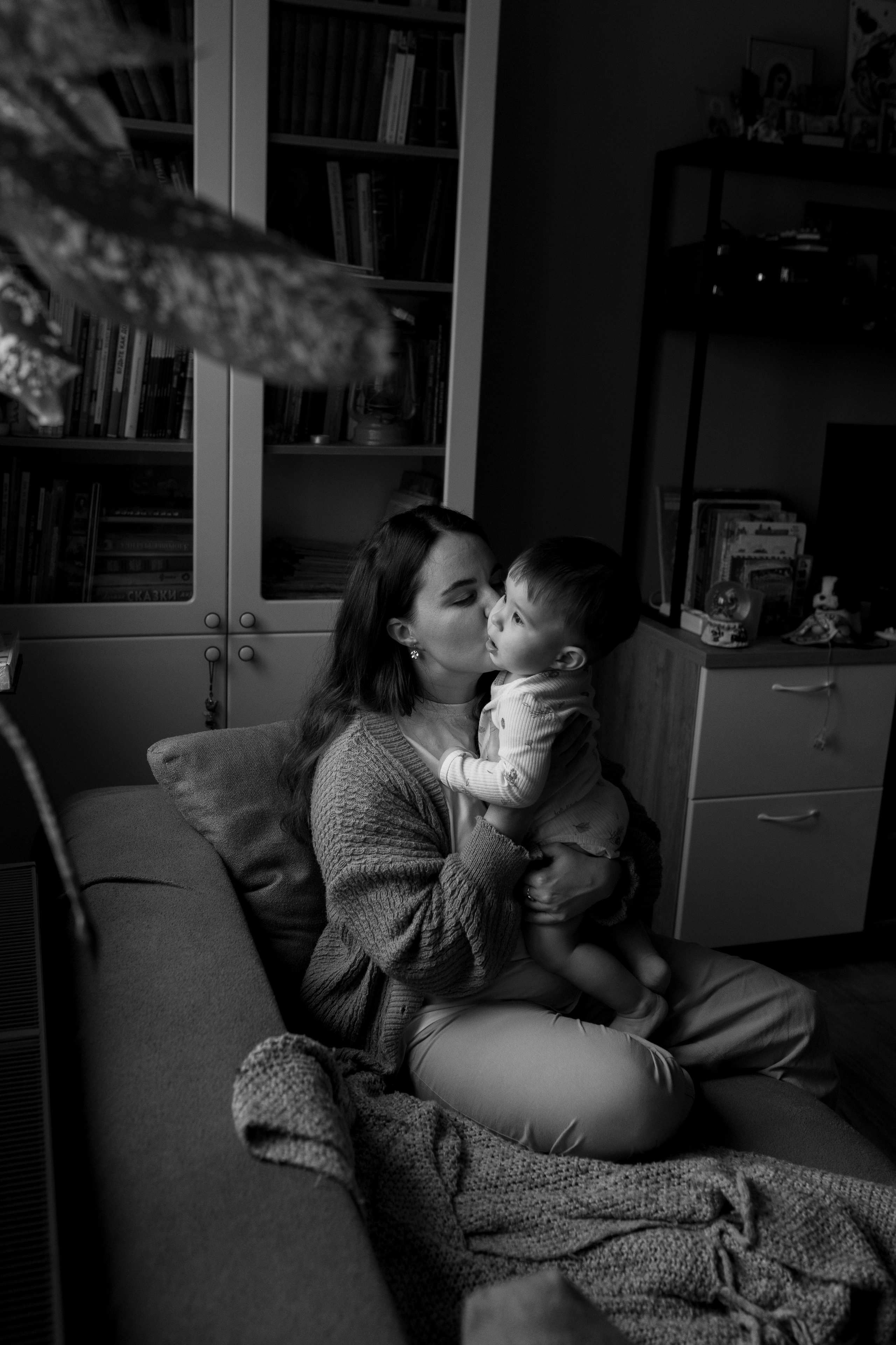 Домашняя история. Meryfotoidea