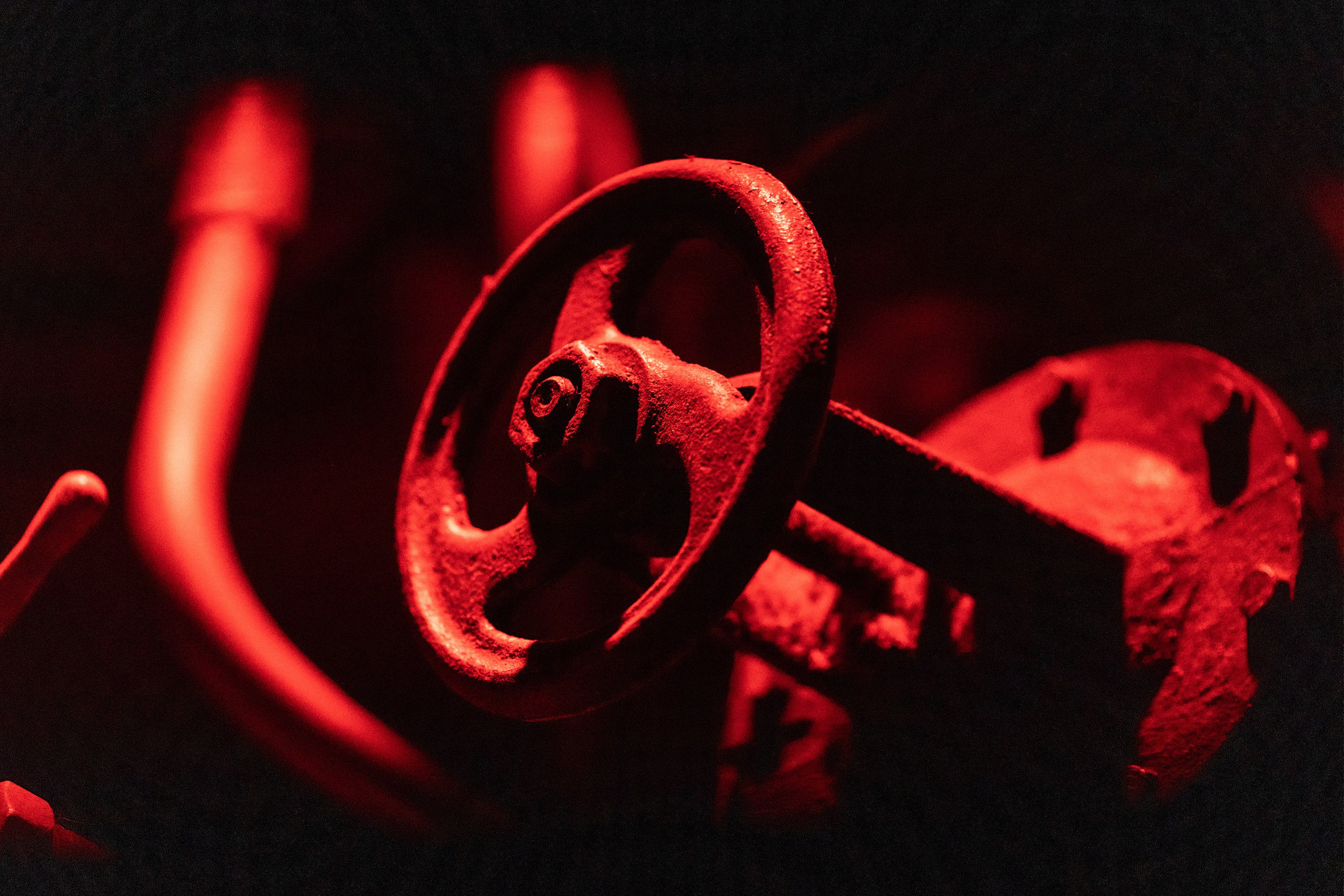 SENS 2023. Фотограф в Москве Десятова Ксения