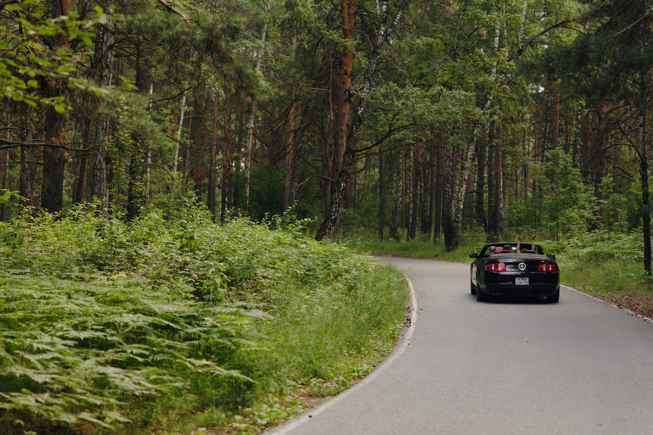 Таня и Леша. Свадебный фотограф Марусина Катерина