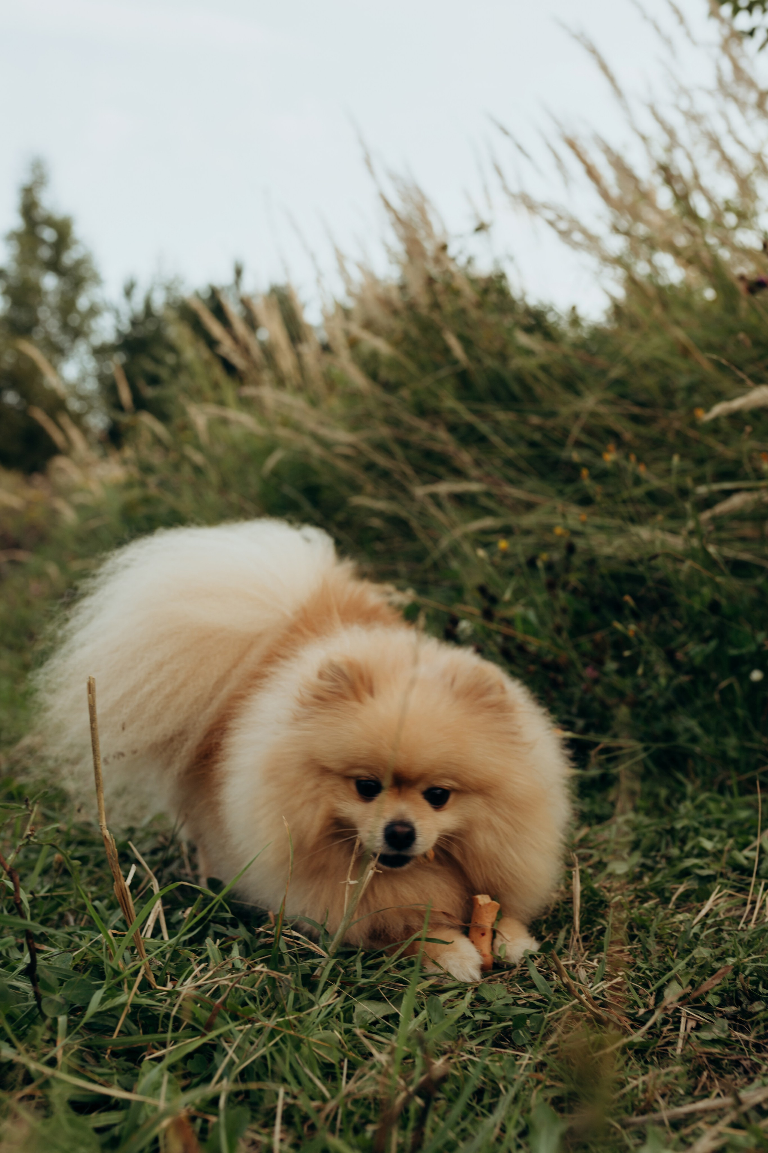 … и это всё о нас…. Главная