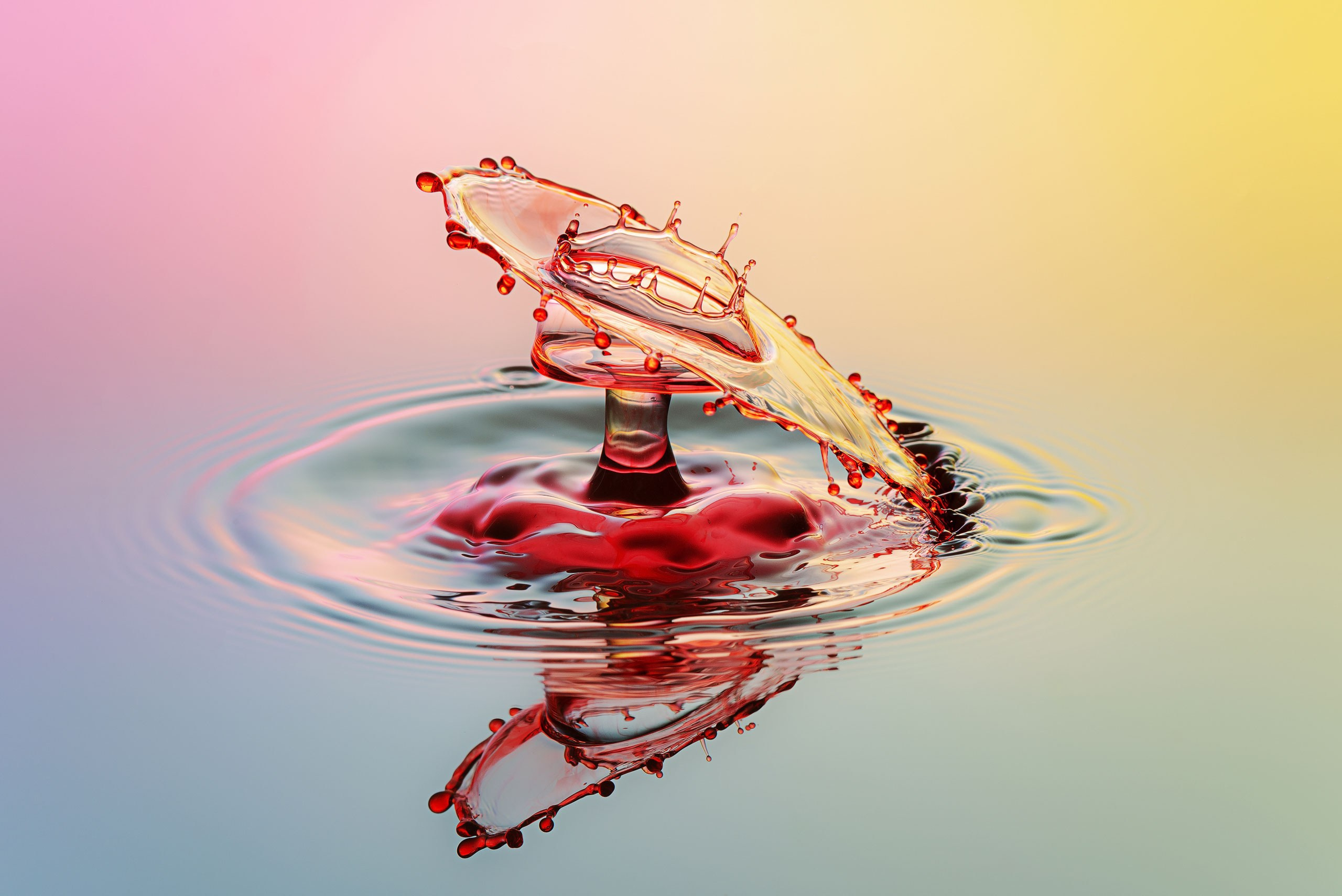 Классические формы. Скульптуры из воды Сергея Толмачева