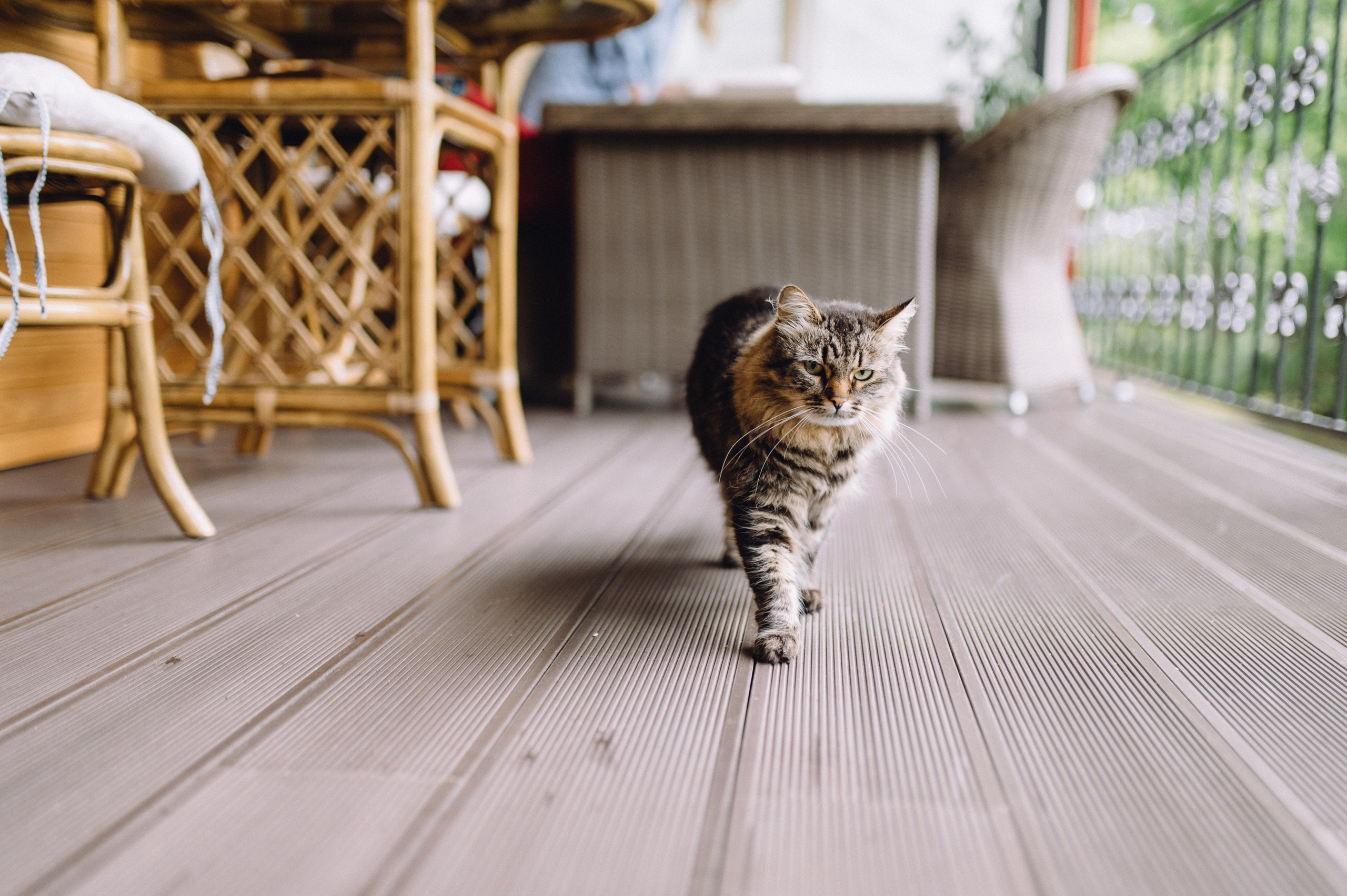 Анна и Макс. Профессиональный фотограф Алексей Васенцев. Минск, СПБ, Москва