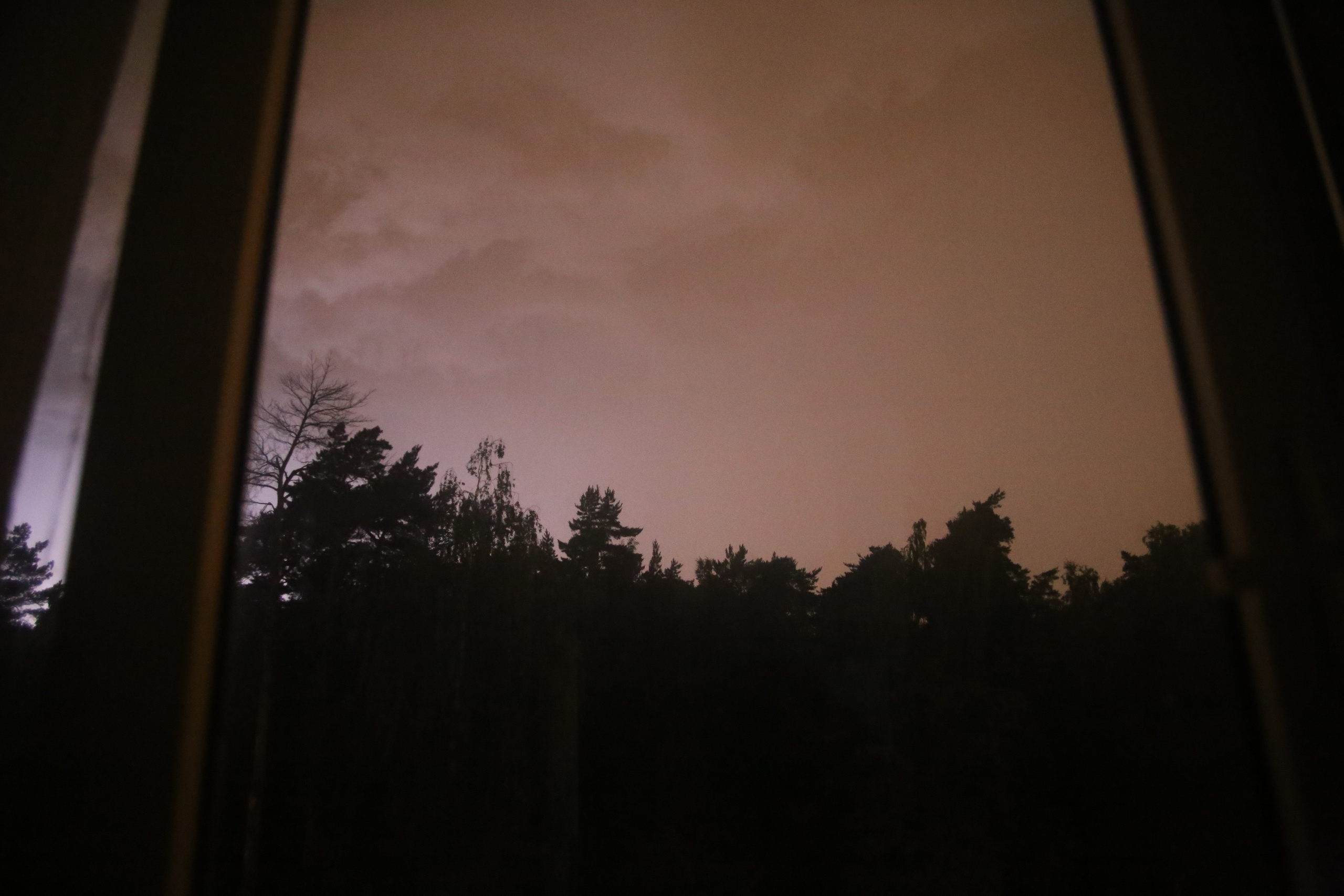 Всё, что я вижу вокруг себя