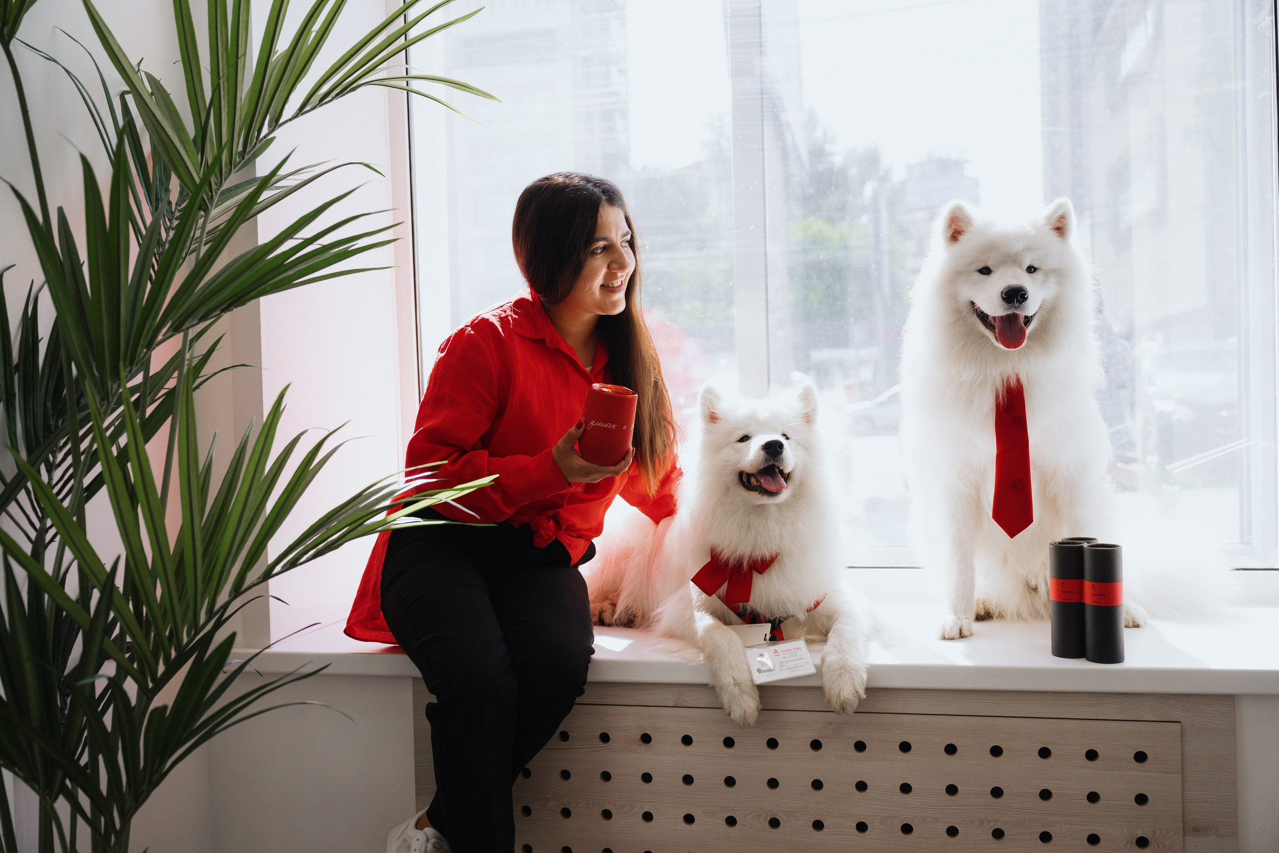 Альфа банк Карла Маркса 55. Фотограф Кристина Тумаева. Самоед Новосибирск