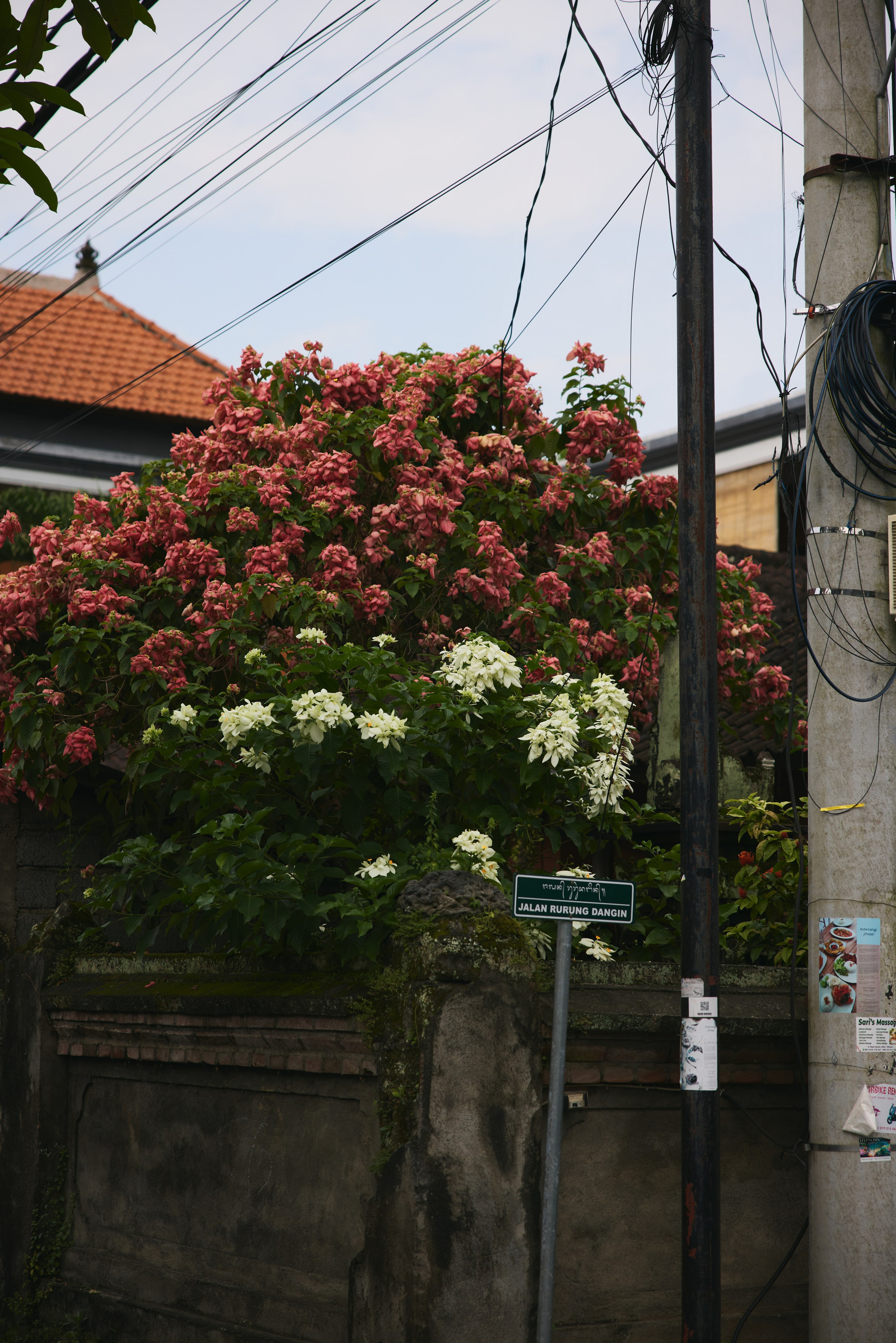 Бали. Ретрит «Love is in the air»Март 2025 Фото. Профессиональный фотограф Татьяна Евглевская