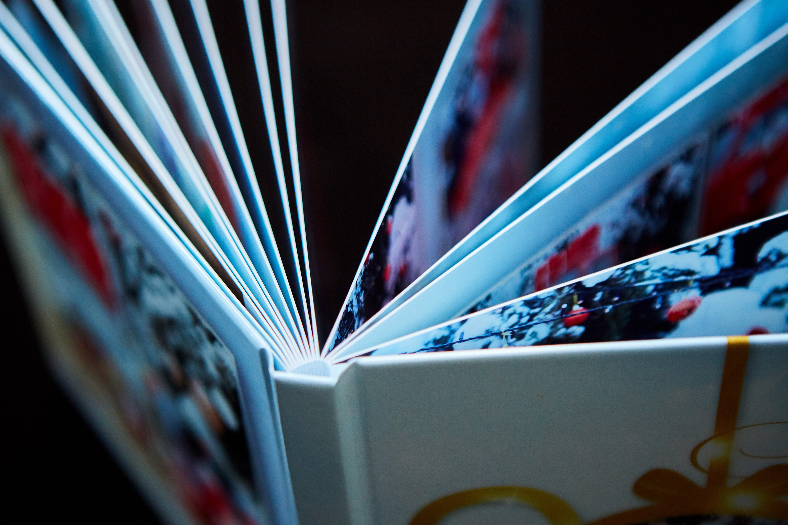 Книга с новогодней фотосессии в уличной локации. Фотохудожник Наталия Кирсанова