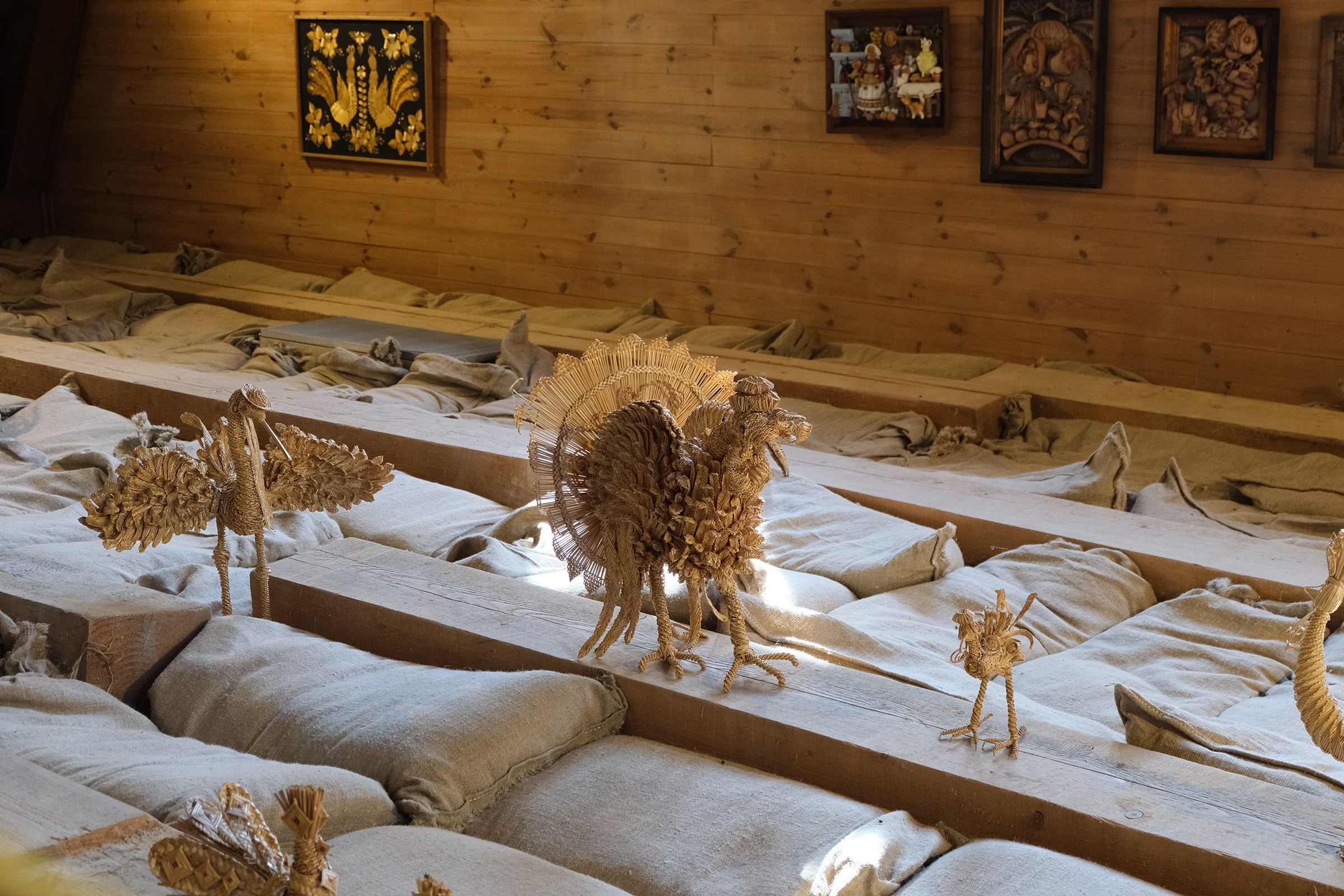 Беларусь. Фотографии города, архитектуры, цветов, макро, кошек. Москва