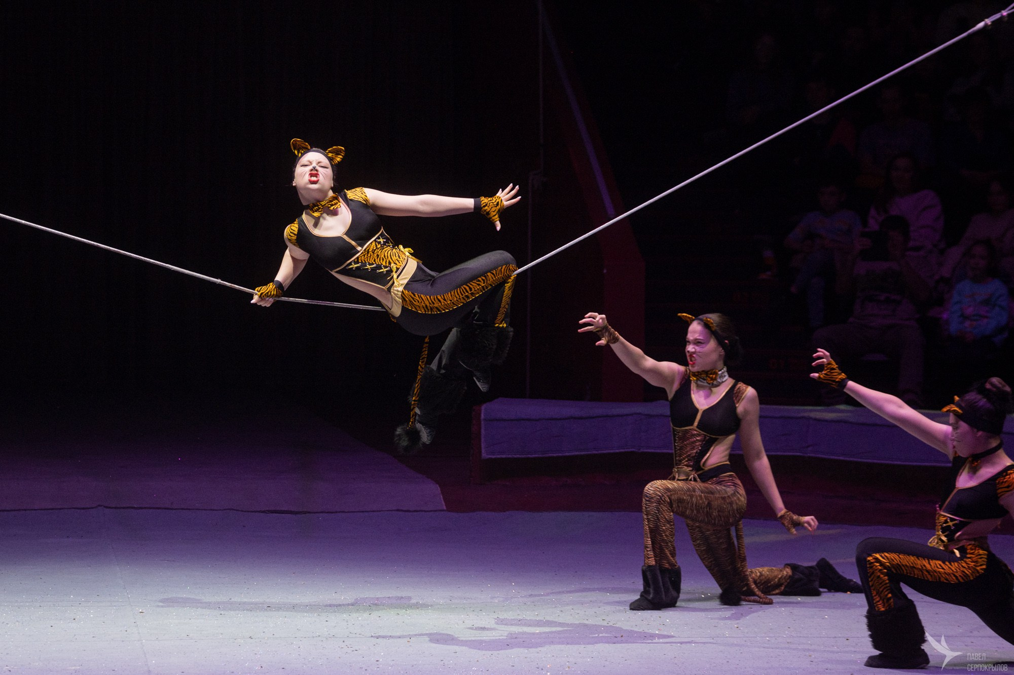 Гала-представление ЭВОЛЮЦИОНЕРЫ. Репортажный фотограф в Казани Павел Серпокрылов