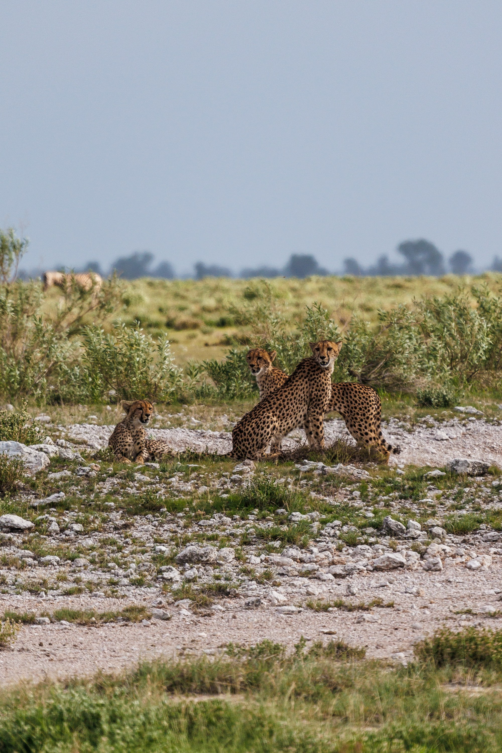 НАМИБИЯ. Роадтрип