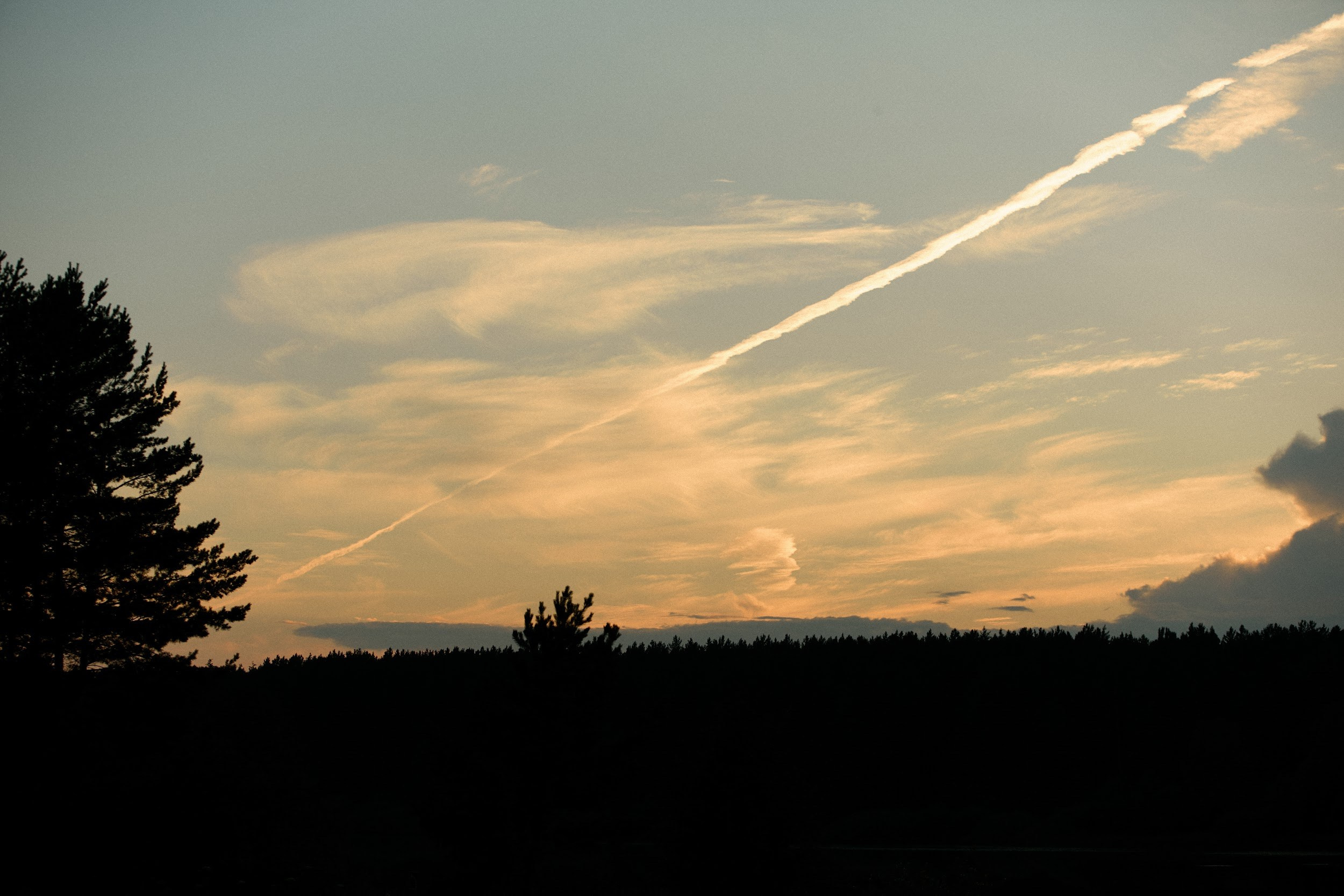 Maxim & Margarita. Event агентство PAPRIKA в Екатеринбурге