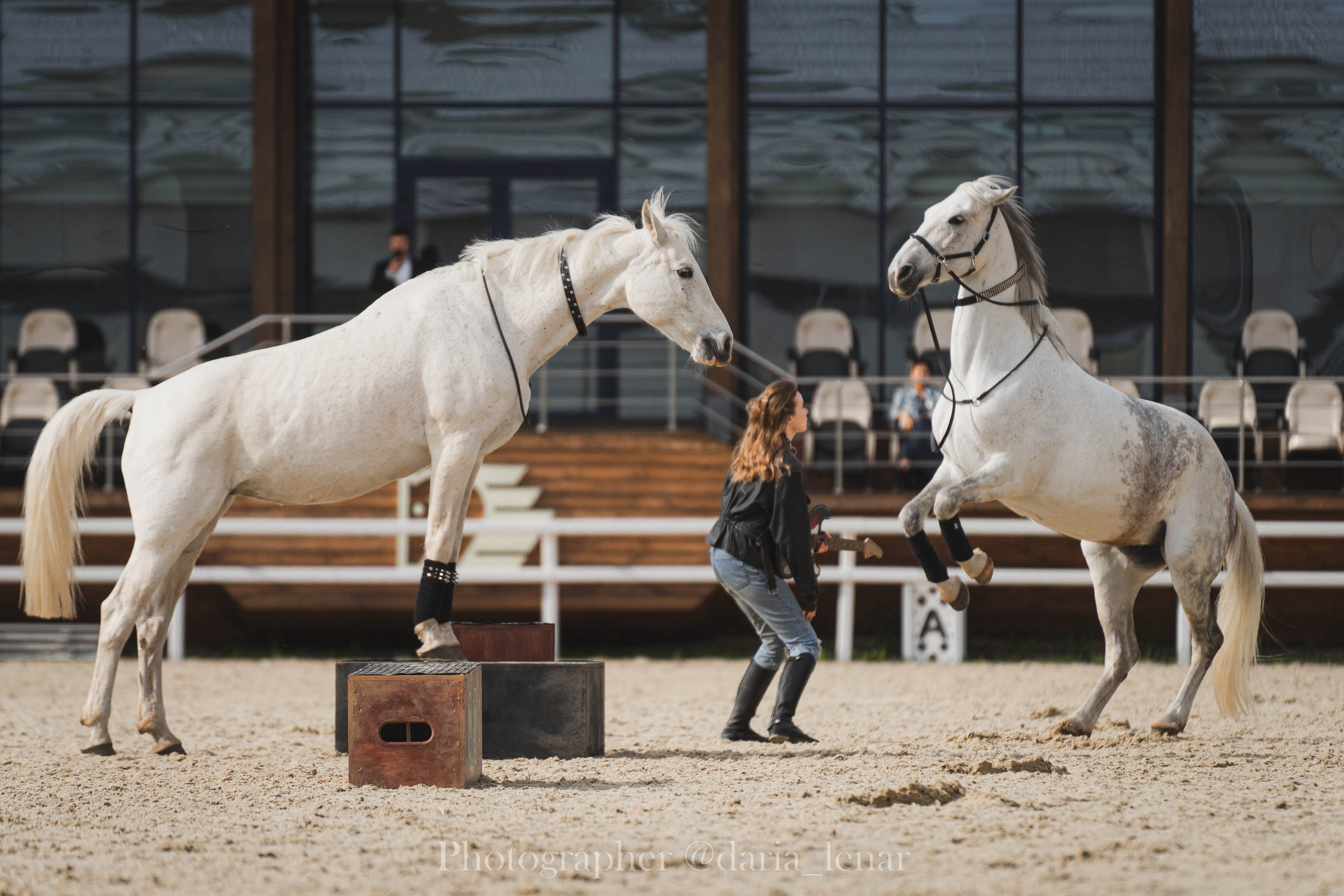 Конные фестивали и мероприятия. Фотограф в Москве Ленарская Дарья
