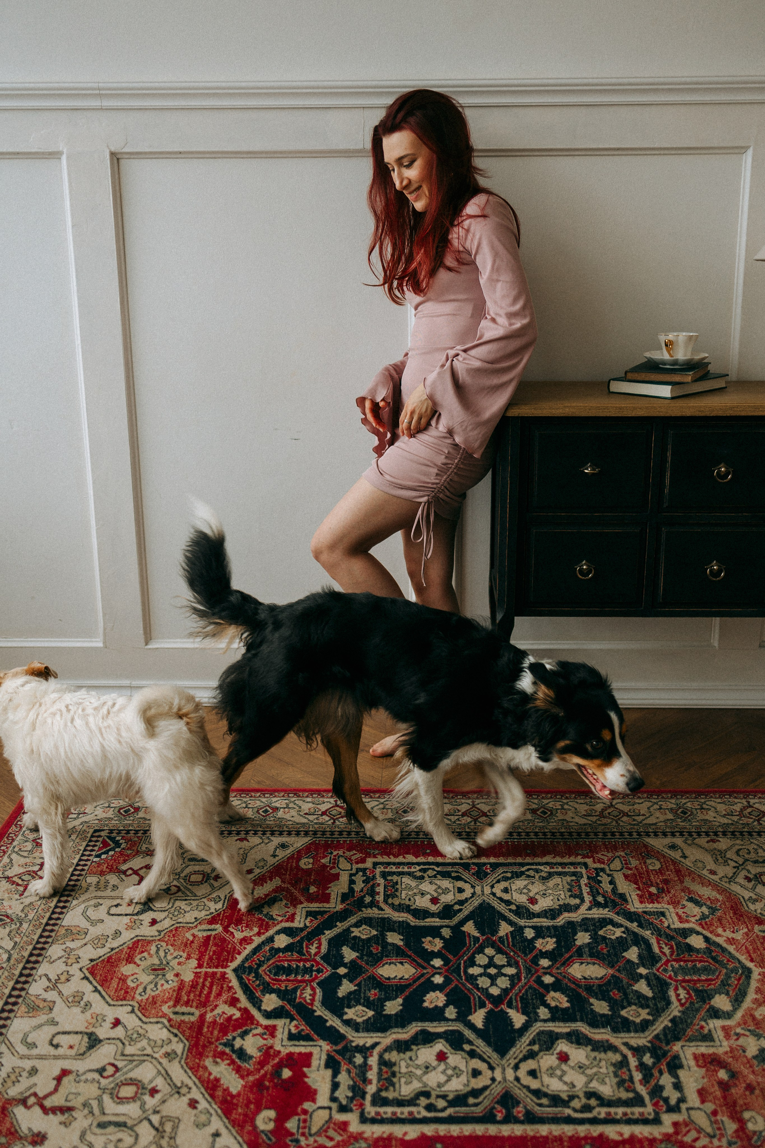 Цунами, Теон и Женя. Фотограф анималист Анастасия Пикей