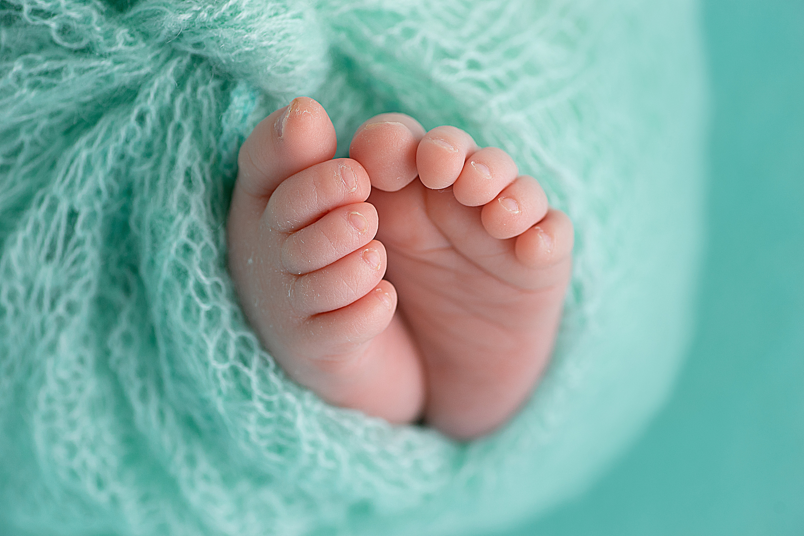 Новорожденные. Фотограф в Новосибирске