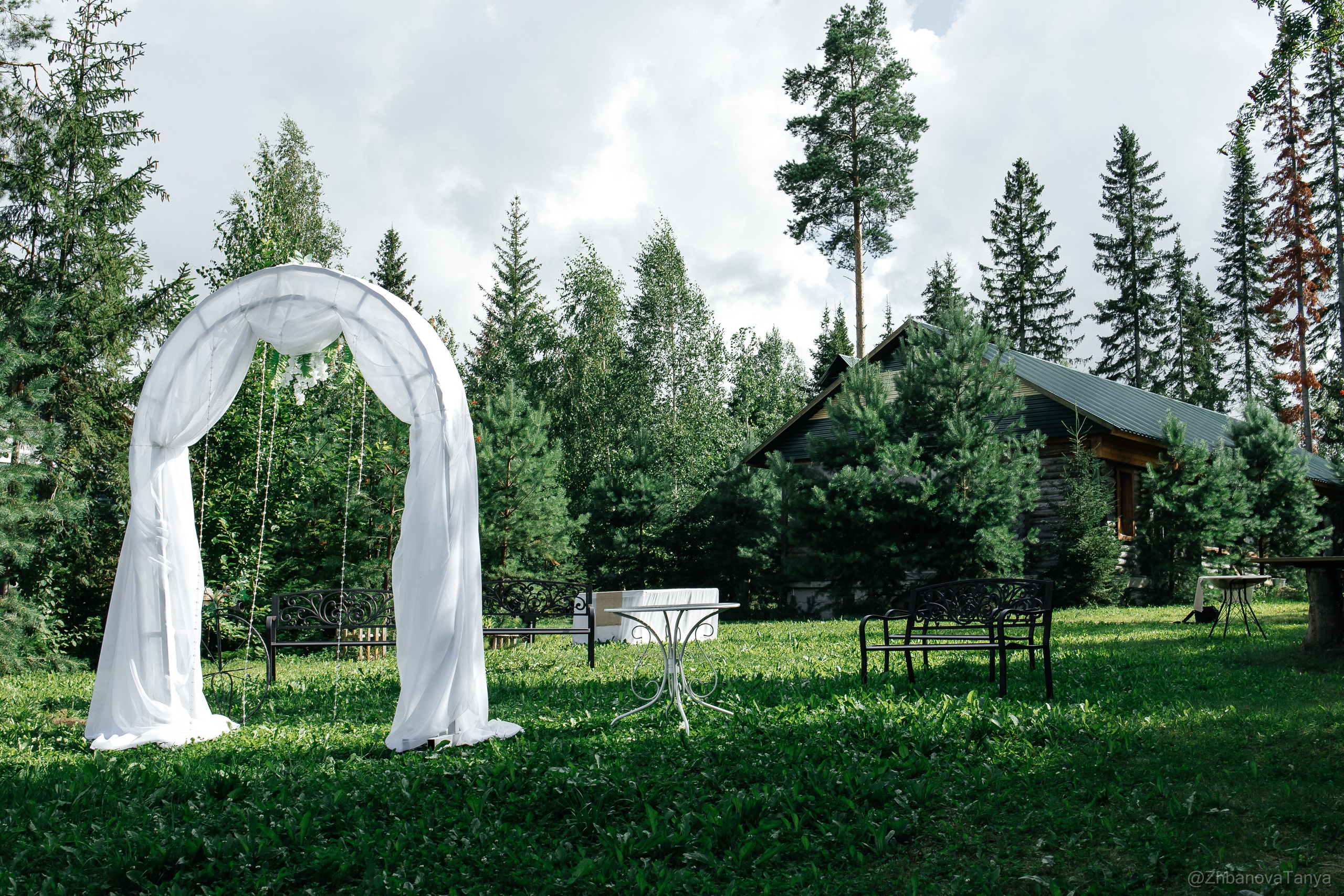 Свадебная. Фотограф Татьяна Жбанова