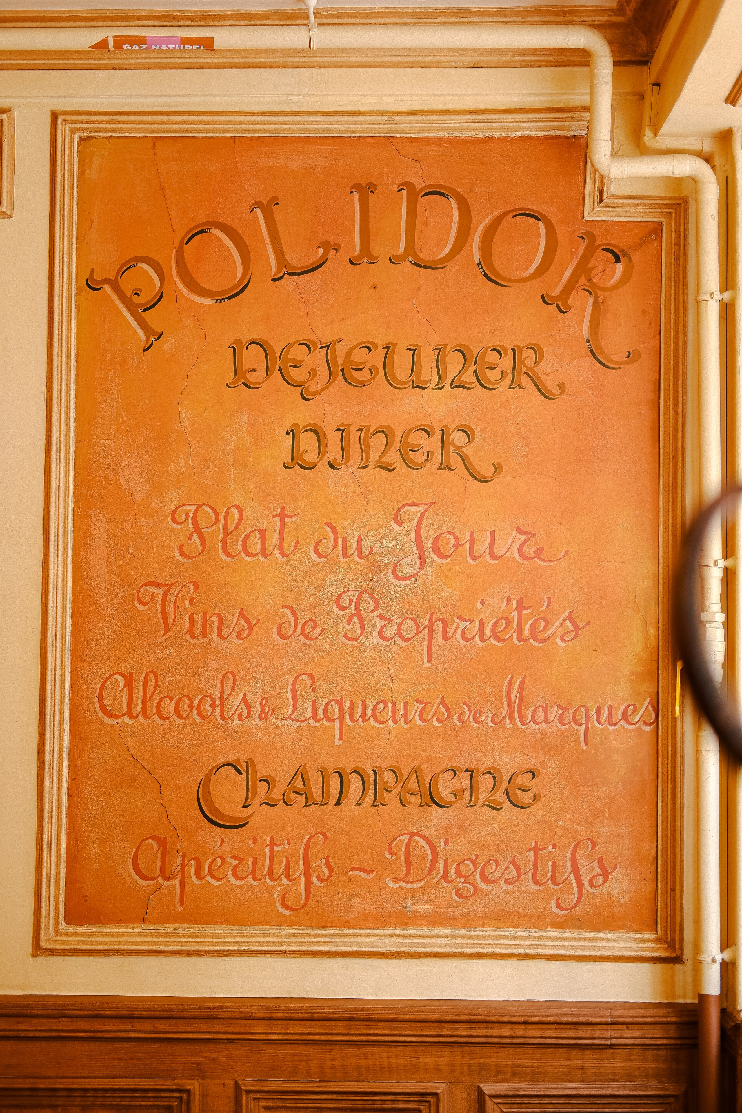 Polidor. Главная