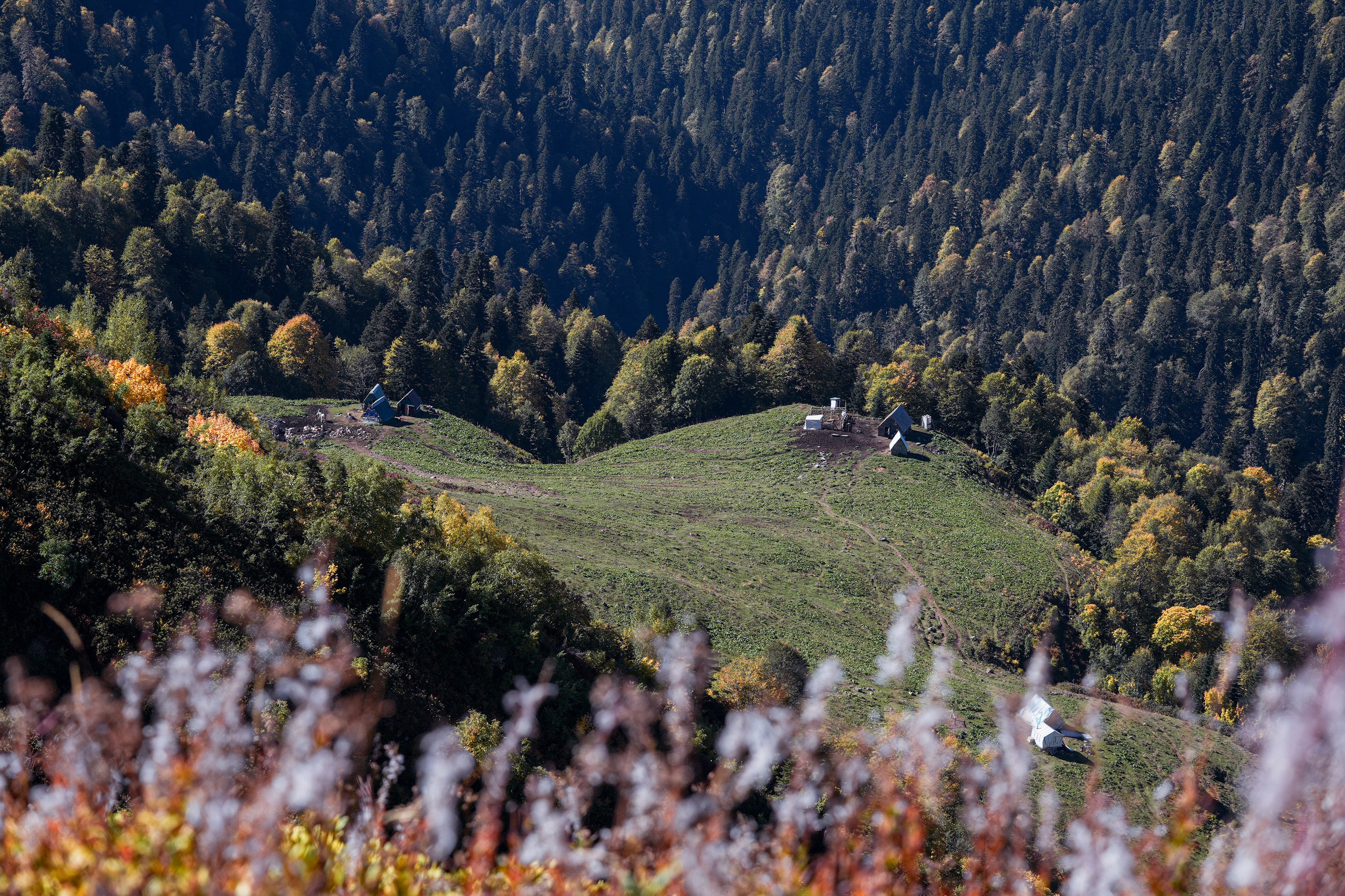 Ыаывы. Репортажный фотограф в Красной Поляне и Сочи Павлюченко Екатерина