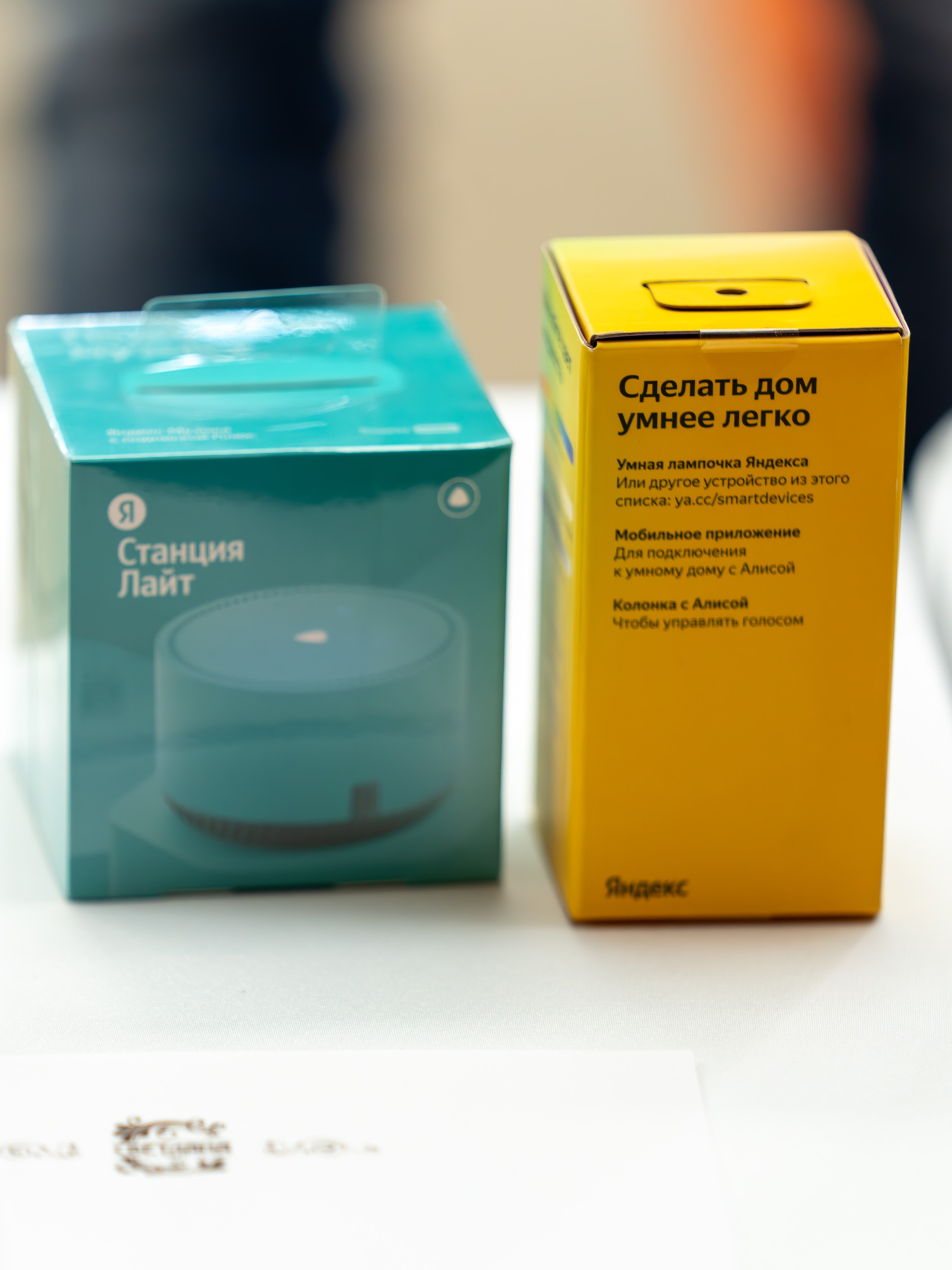 ЦСТЭ холдинг 2023. Репортажный фотограф в Красной Поляне и Сочи Павлюченко Екатерина