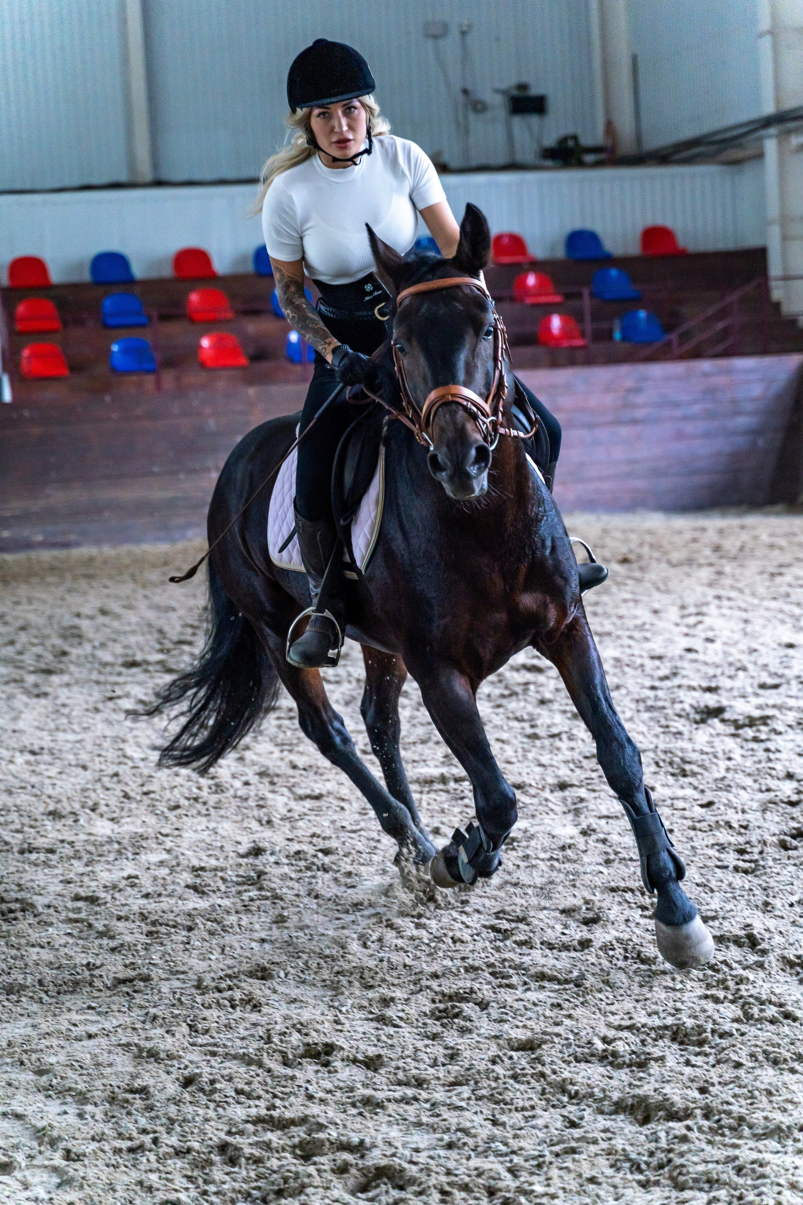 Верховая езда. Репортажный фотограф в Красной Поляне и Сочи Павлюченко Екатерина