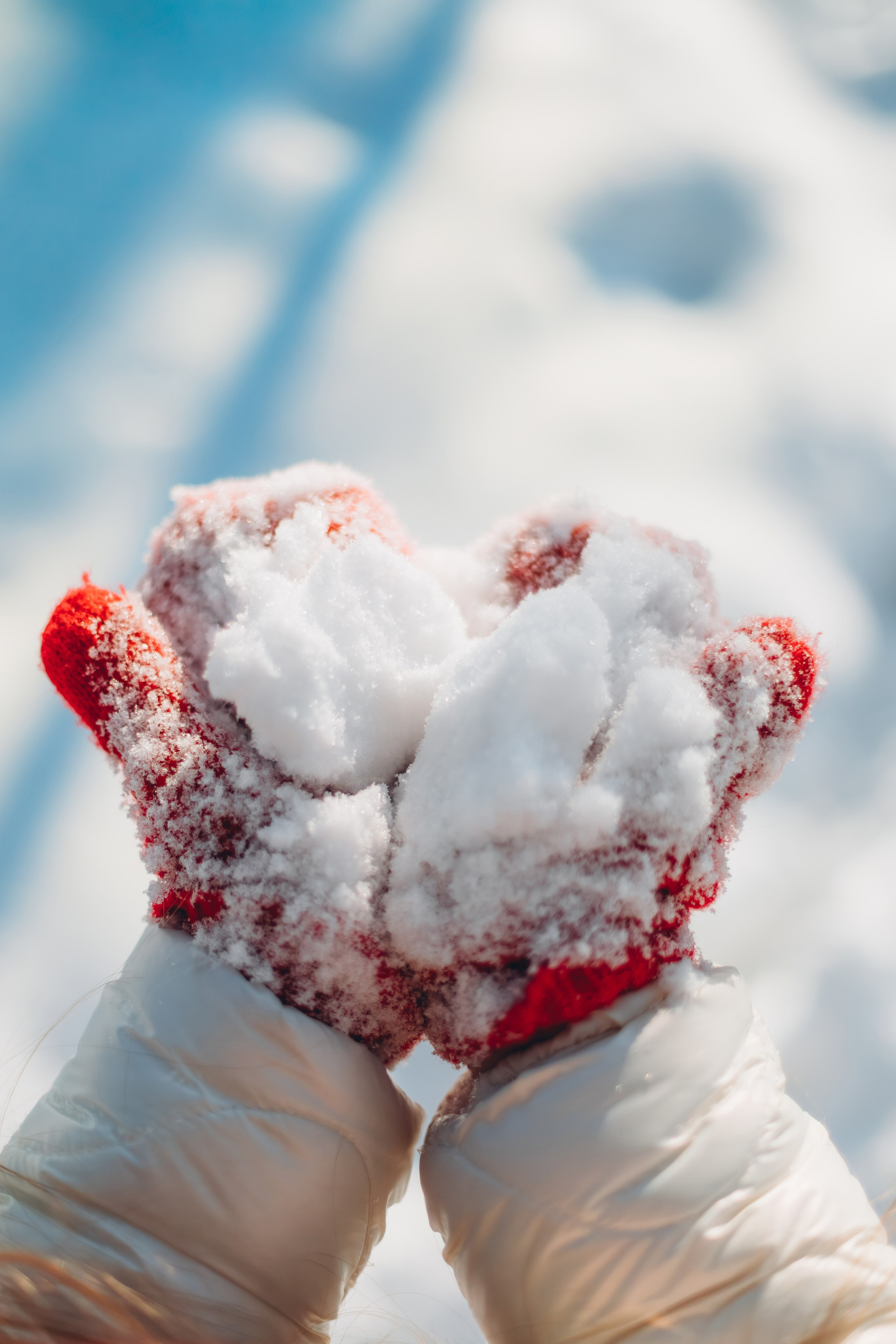 Фотопрогулка. Фотограф Марина Верятинская | Краснодар