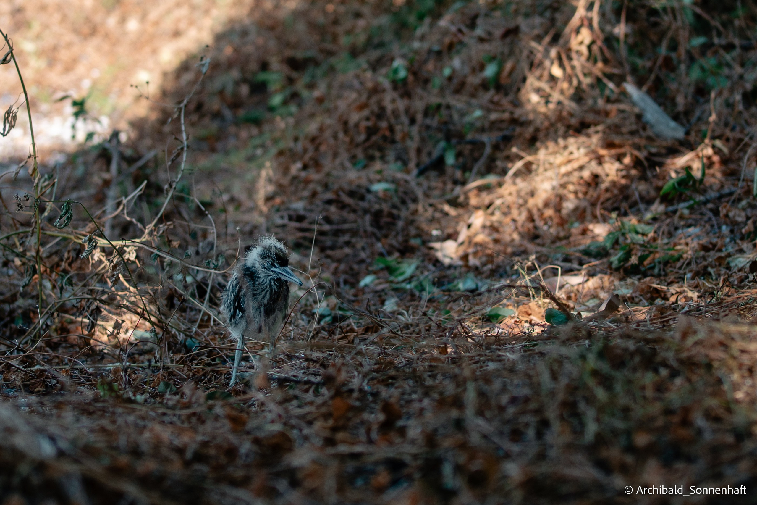 Kayaking in Huizhou, China. Photographer in Guangzhou, China. Archibald Sonnenhaft