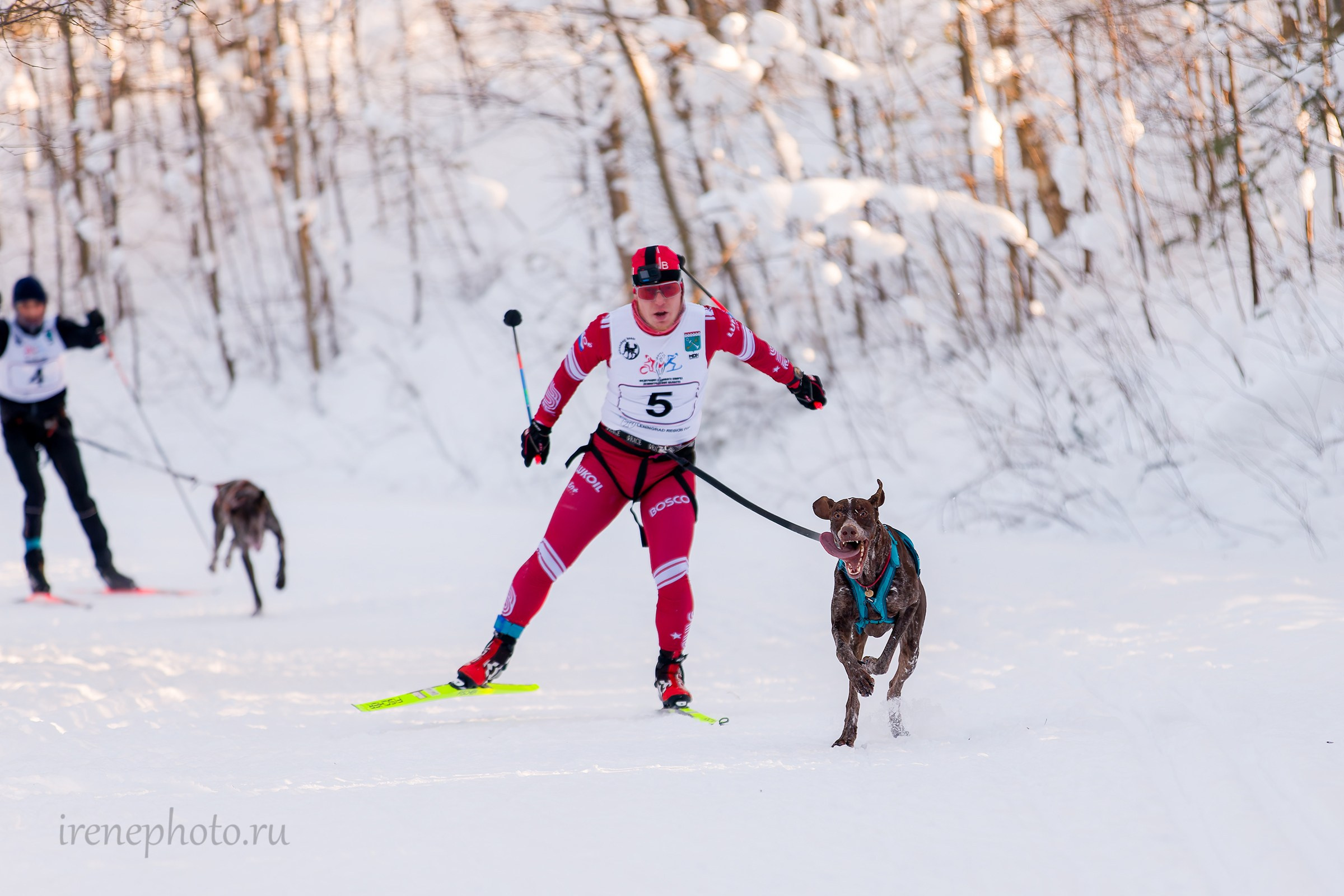 Чемпионат и Первенство Ленобласти — зима 2026. Irenephoto.ru