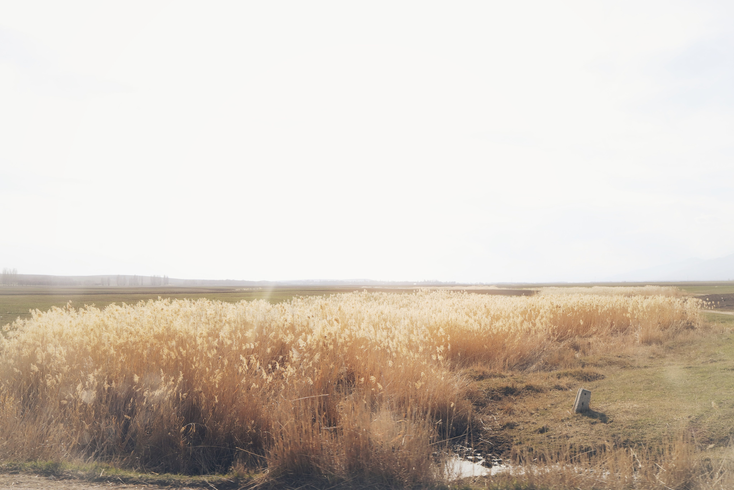 Around Issyk-Kul / Spring, Summer, Fall, Winter… and Spring. POLINA MÔMOT