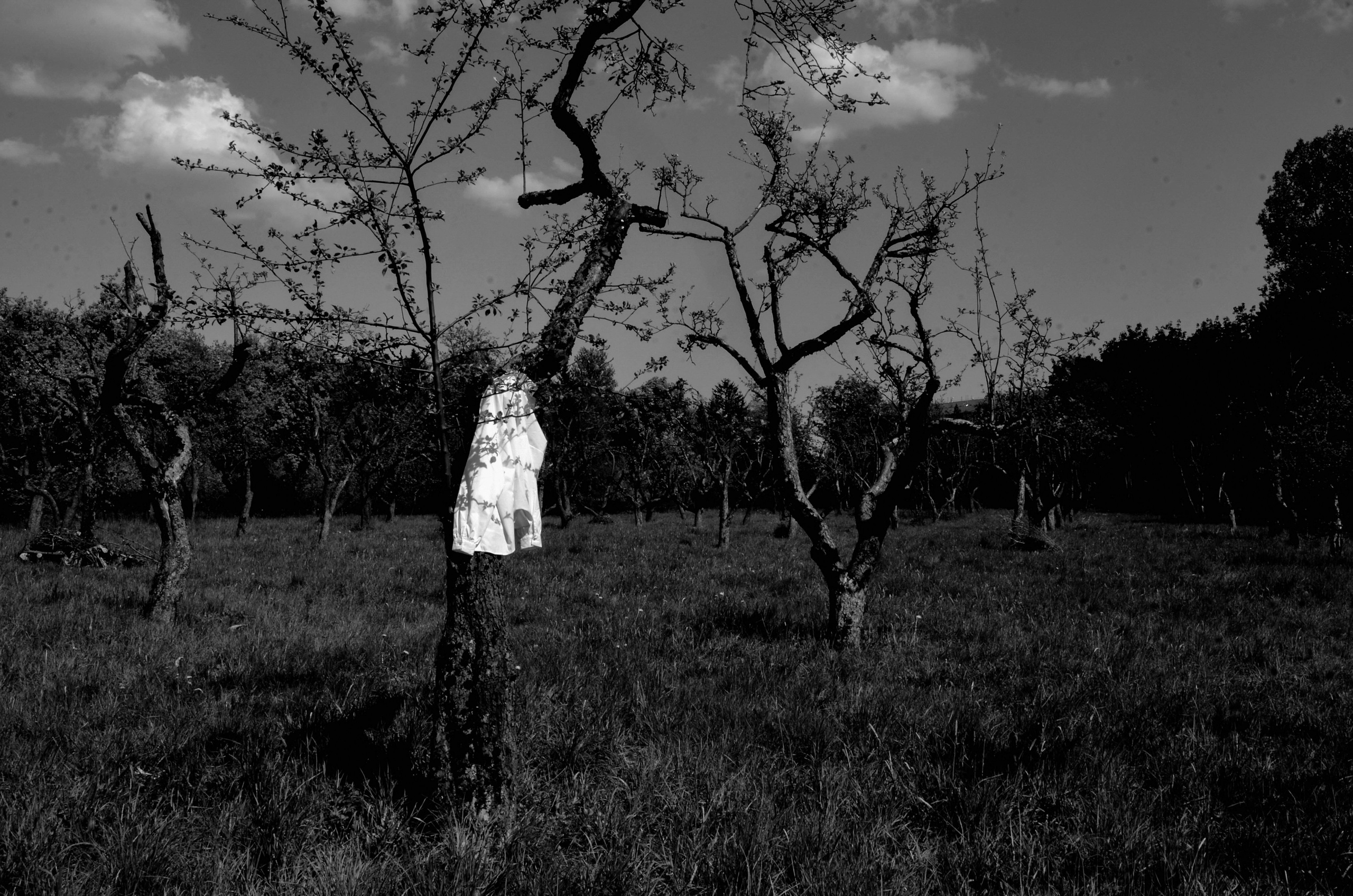 Затмение. Катерина Эделева