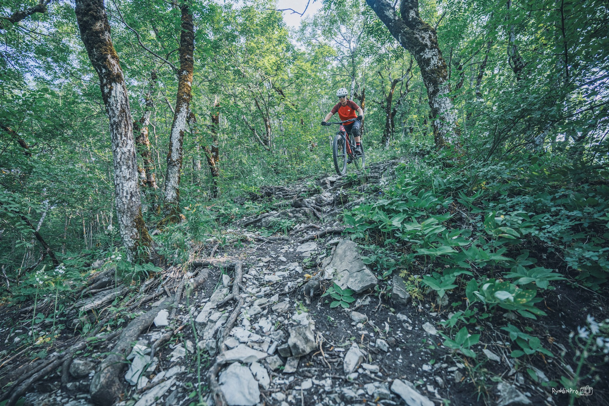 Обучающий кэмп на Собере 06.06.24 Коваль. Репортажный фотограф в Краснодаре Рындин Дмитрий