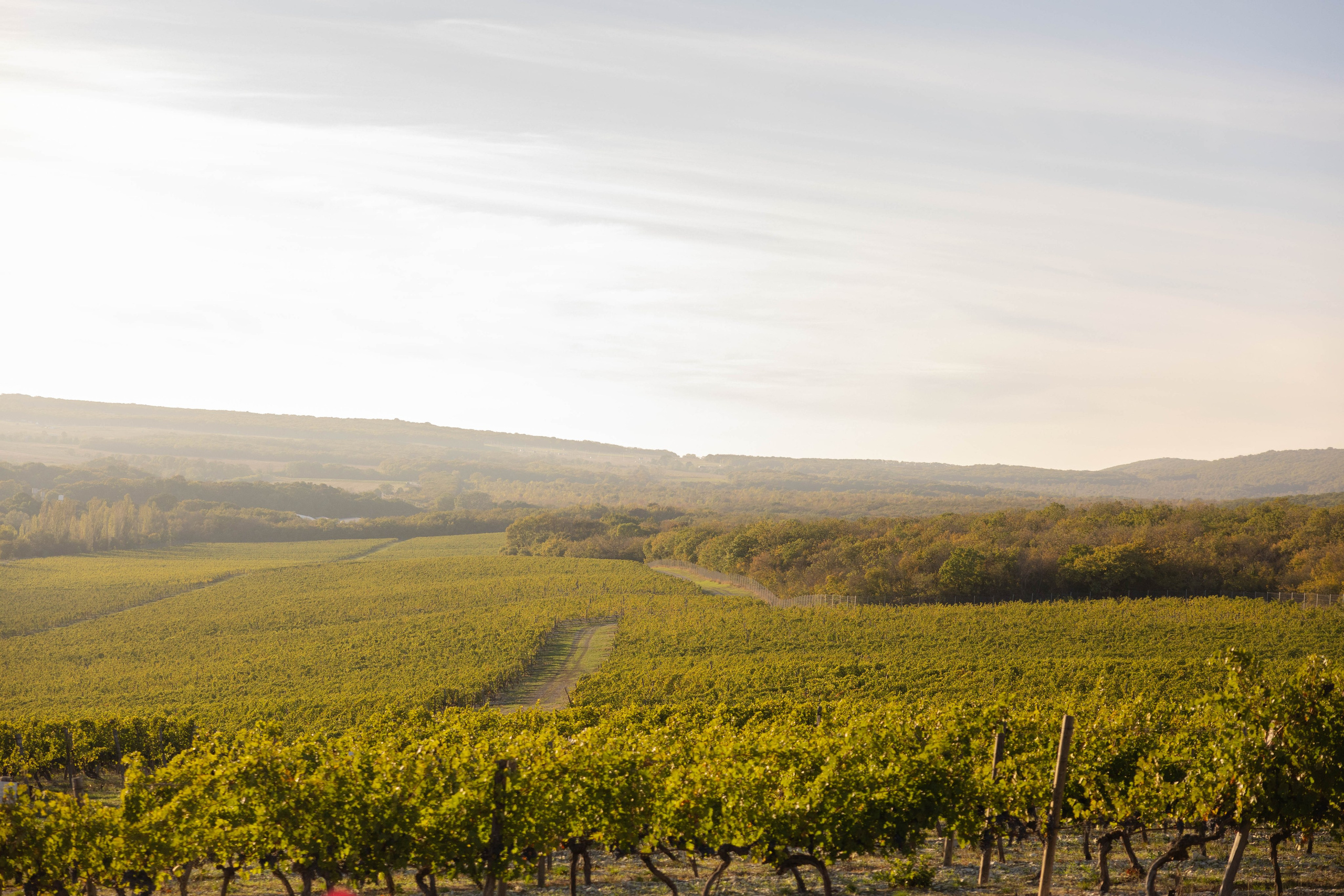 Иван и Лиза. Свадебный и семейный фотограф Евгения Привалова. Новороссийск. Анапа