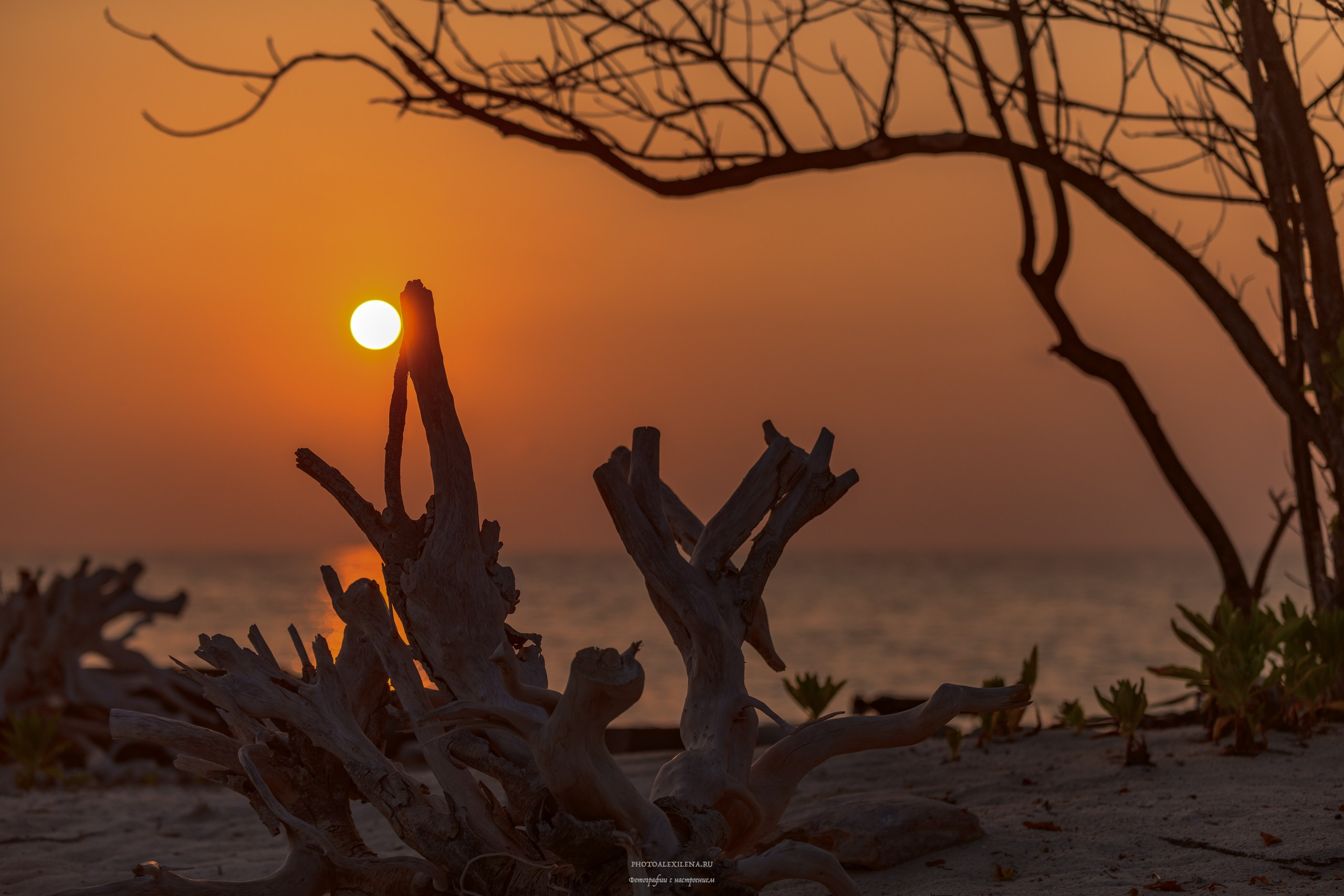 Светило в кадре. Авторские стильные фотокартины