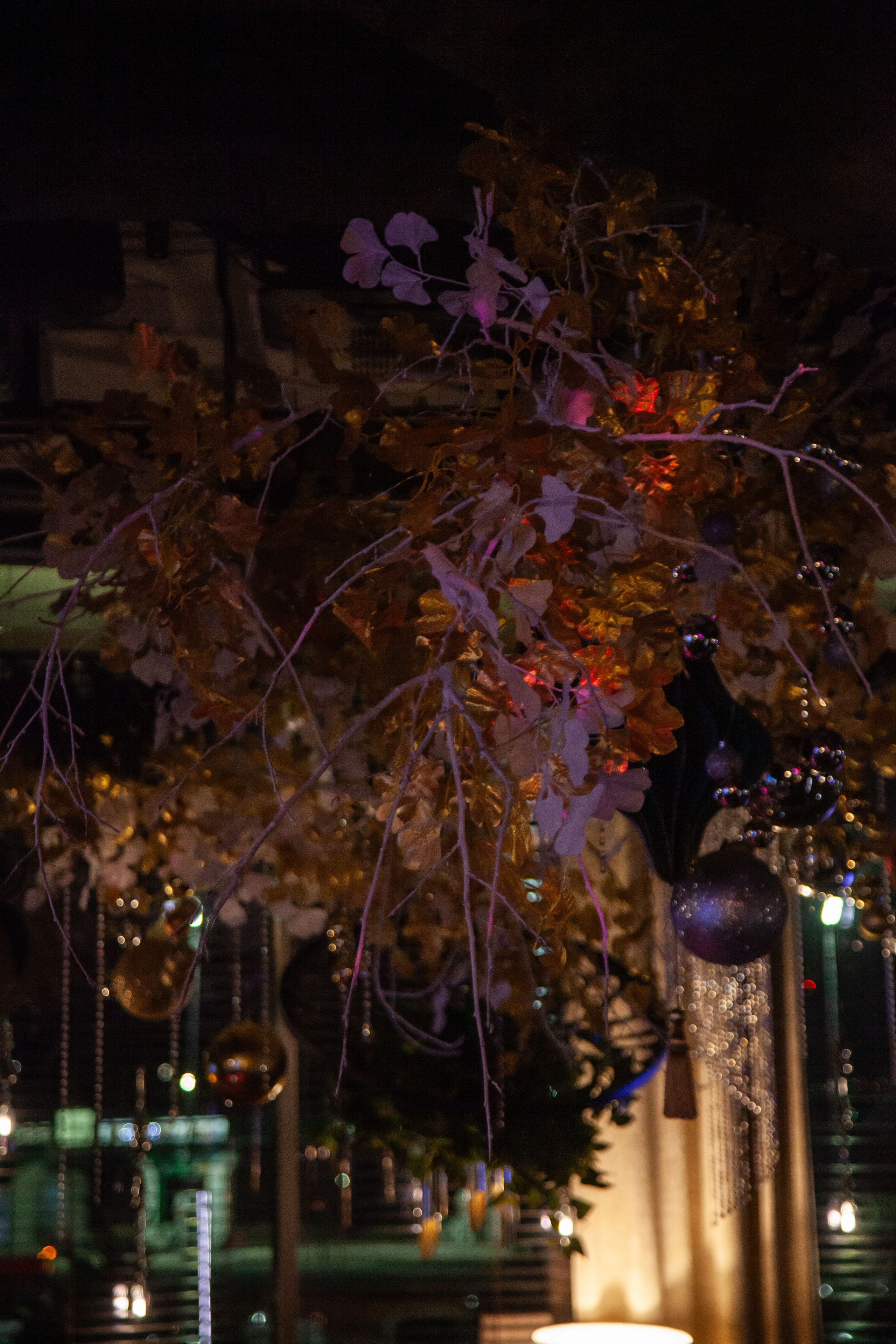 Cheeseria, ресторан-сыроварня. 15.12.23. Профессиональное фото в Казани: от идеи до результата. Фотограф Яна Мур