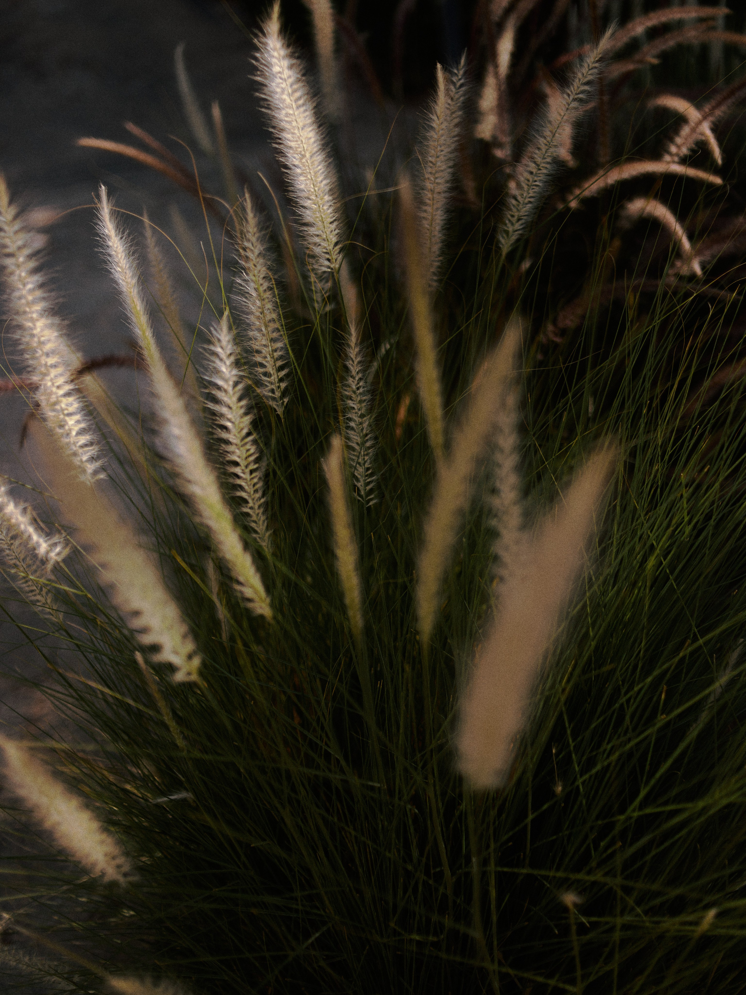 Диптих. Jorgis — фотограф в Хургаде / обучение фотографии