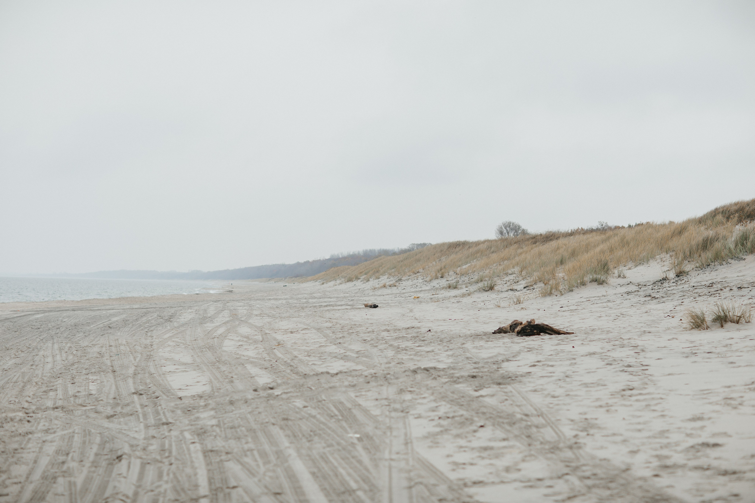 Фотосессия в Балтийске. Https://malovafoto.ru